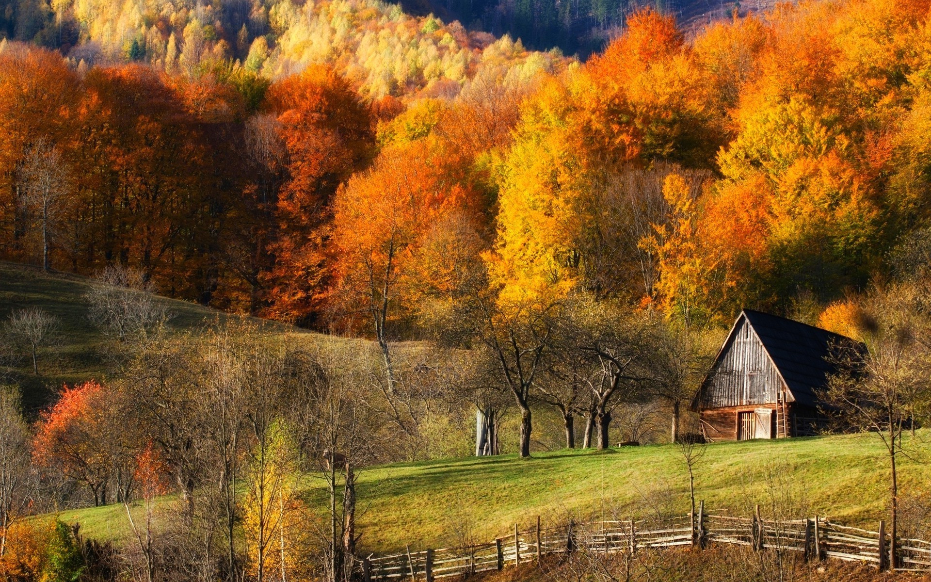 1920x1200 fall barns nature forest grass hill landscape trees colorful fence wallpaper  and background