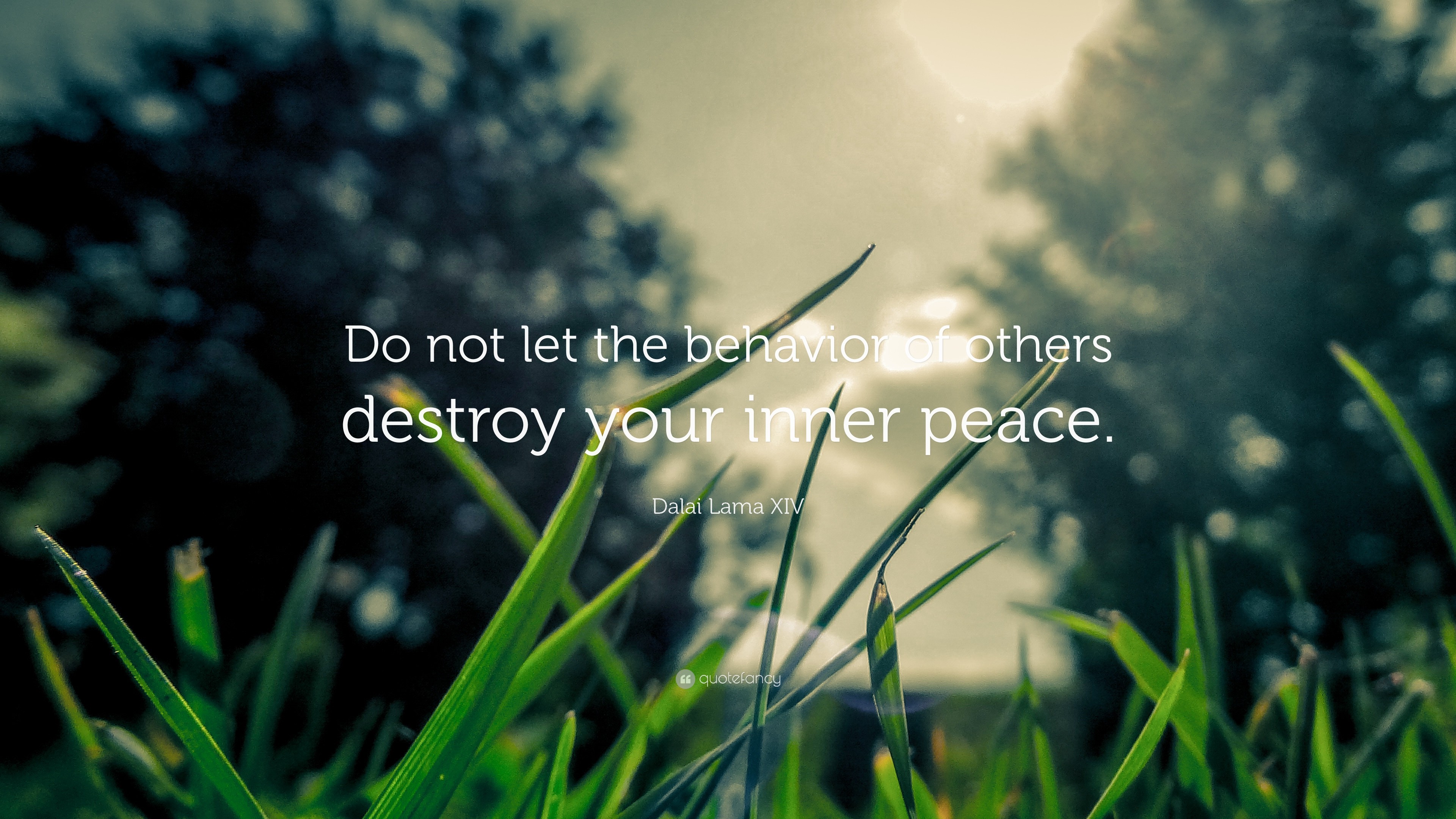 3840x2160 Dalai Lama XIV Quote: “Do not let the behavior of others destroy your inner