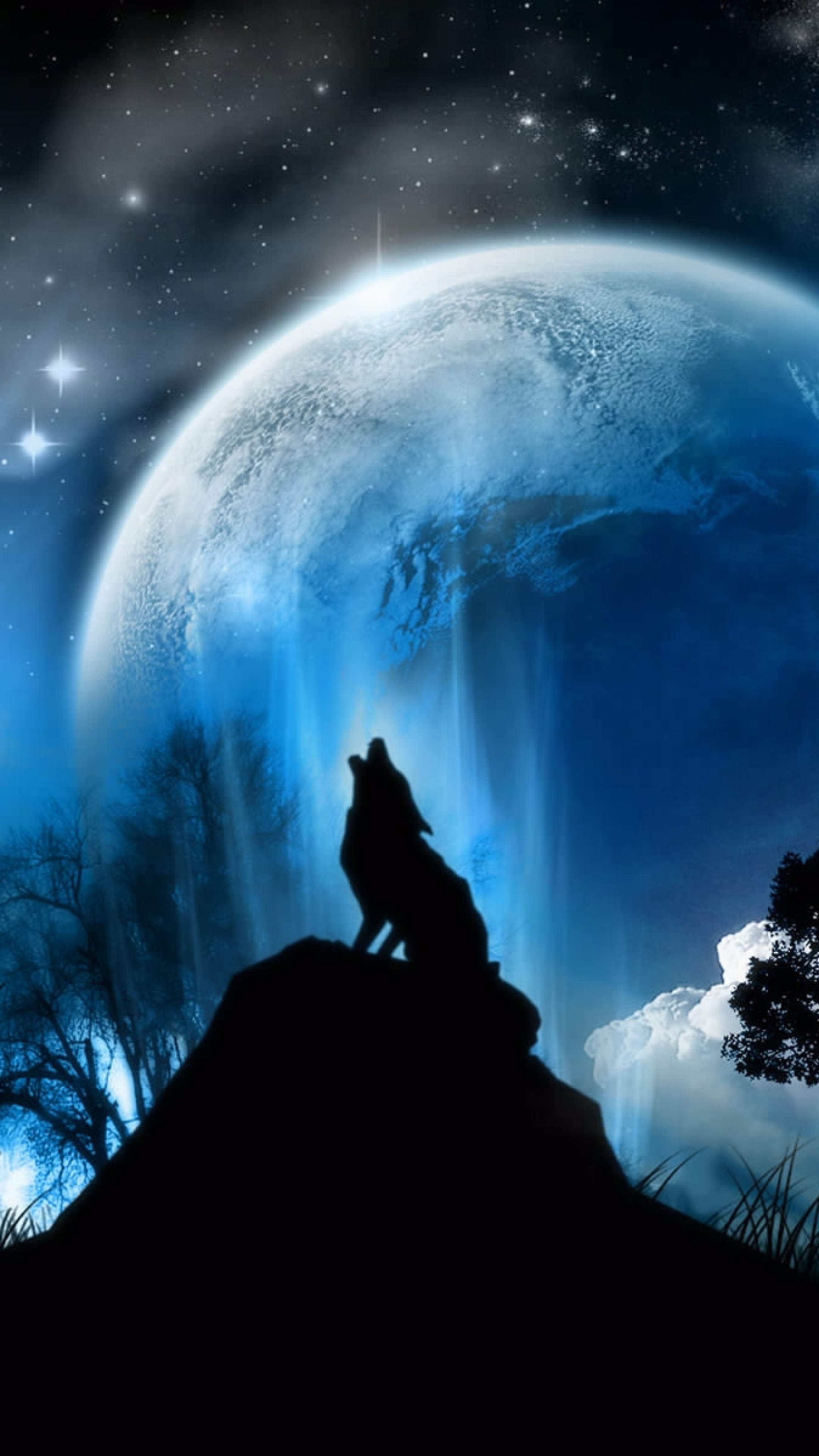 2160x3840  Wallpaper moonlight, wolf, fantasy