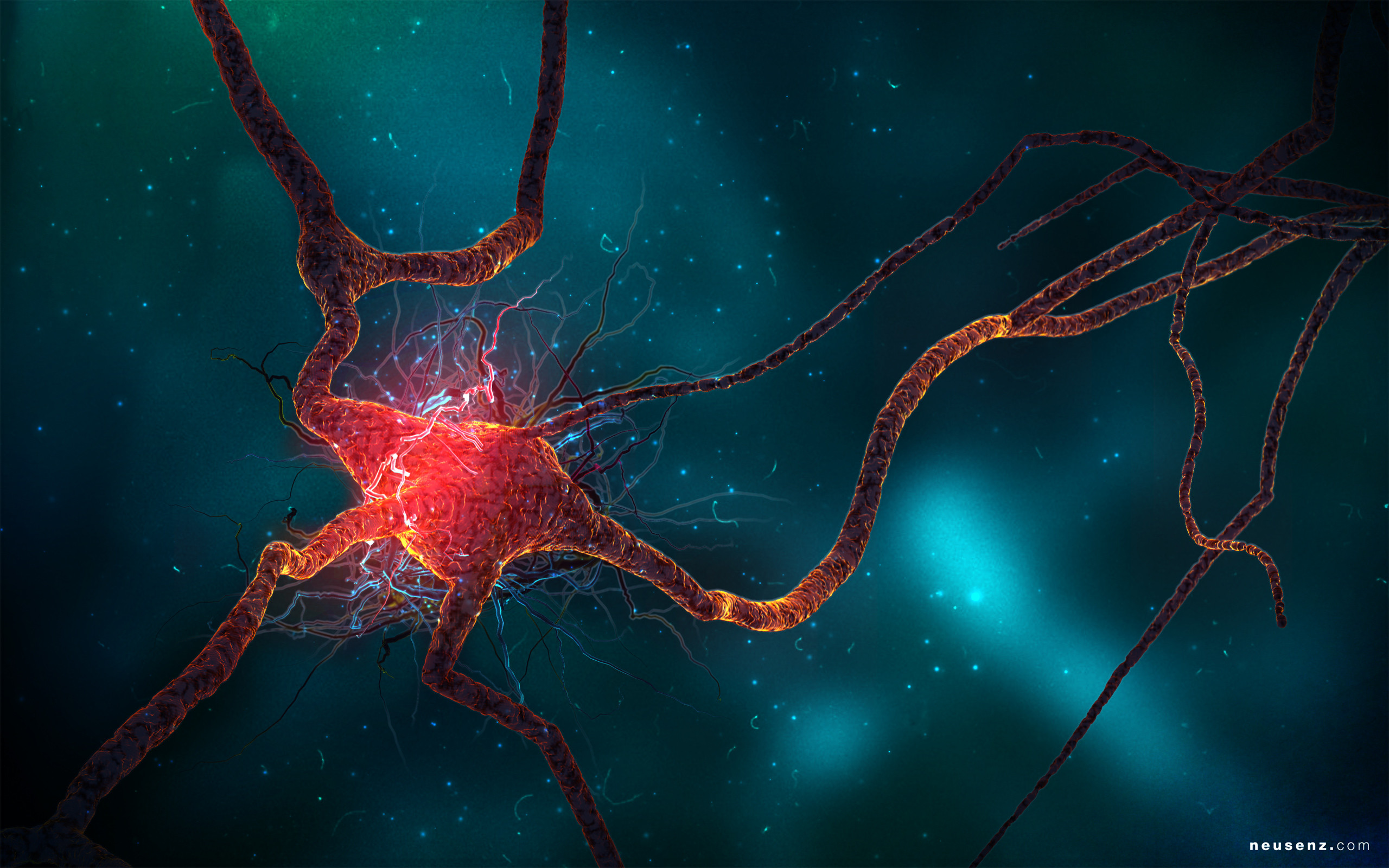 2560x1600 Neuron Cell