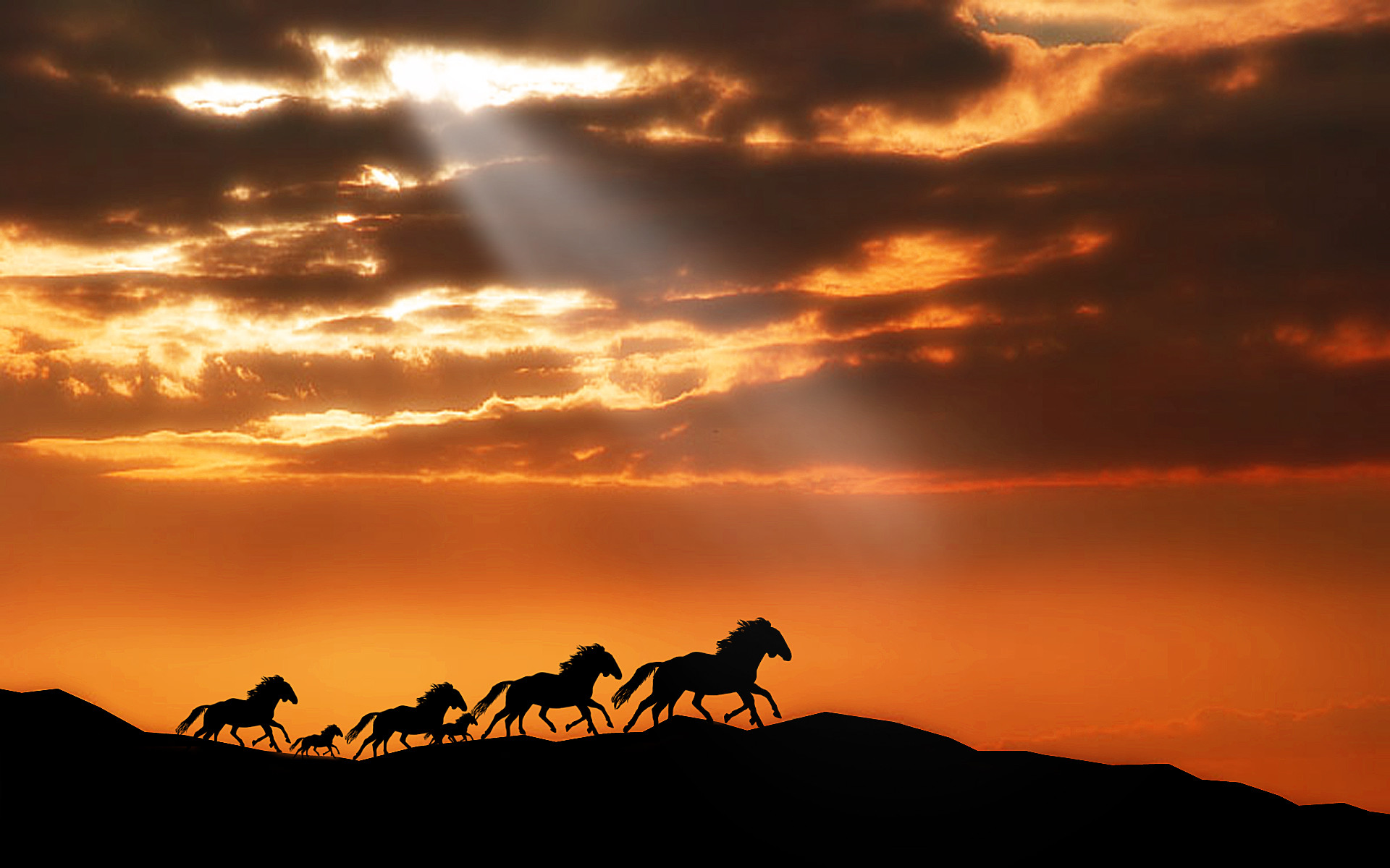 1920x1200 Beyond the Horizon [IMG] There are five wild horse herds that live in the  wilderness of Australia, often called Brumbies.