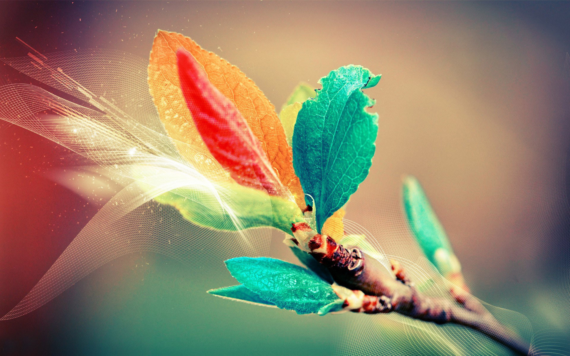1920x1200 3D-Colourful-Graphic-Art-Photography-HD-Wallpapers