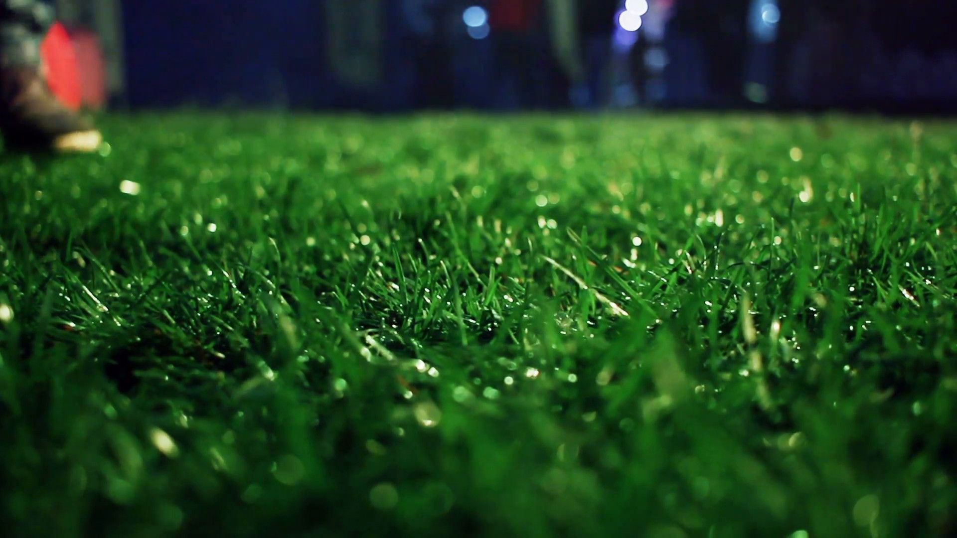 1920x1080 Grass background. Green grass soccer field. Trimmed grass on meadow at  night. Panning on grass field at park. Green background. Macro shot of lawn  grass at ...
