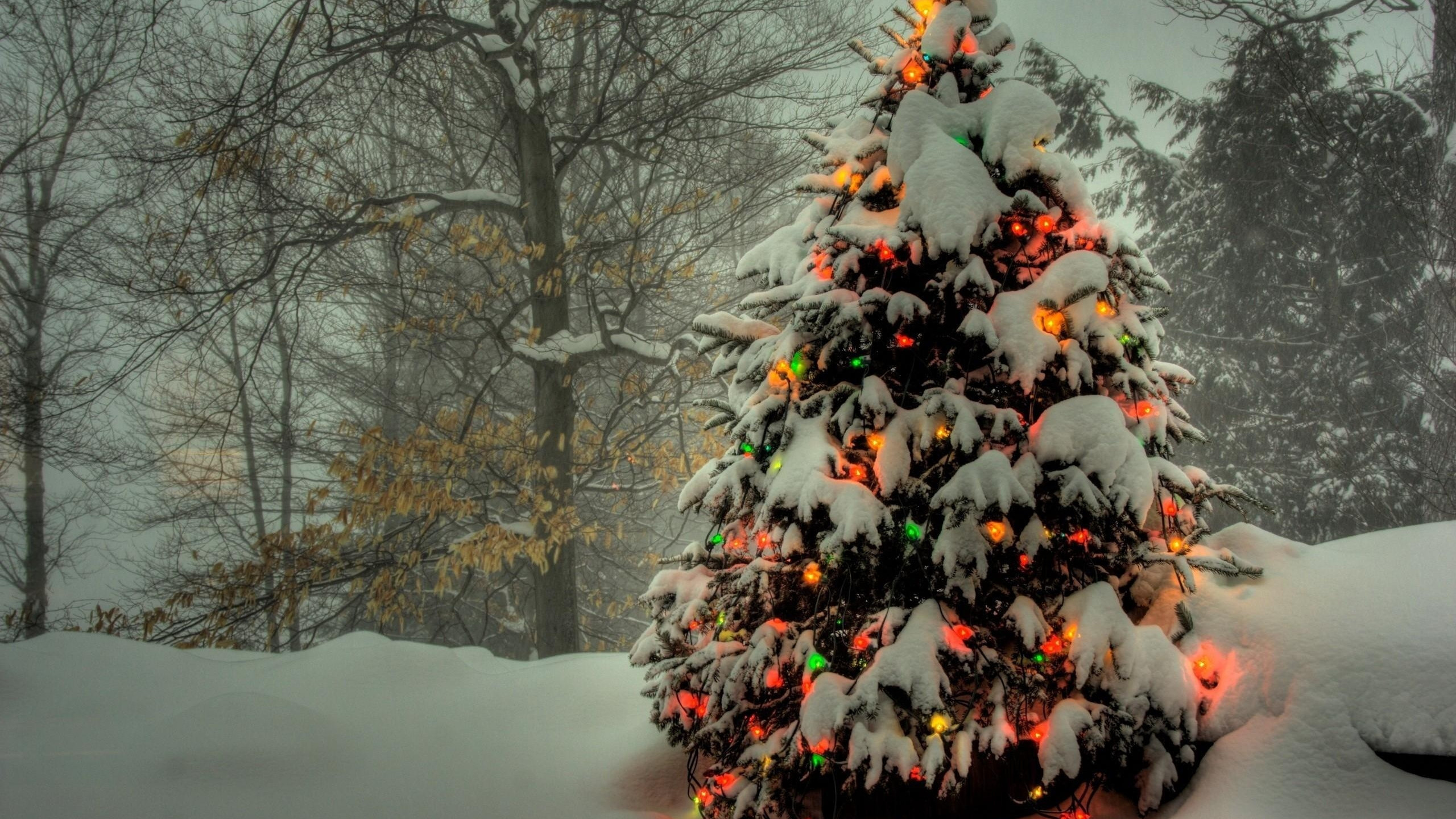 2560x1440  Wallpaper tree, garland, new year, christmas, trees, snow, winter