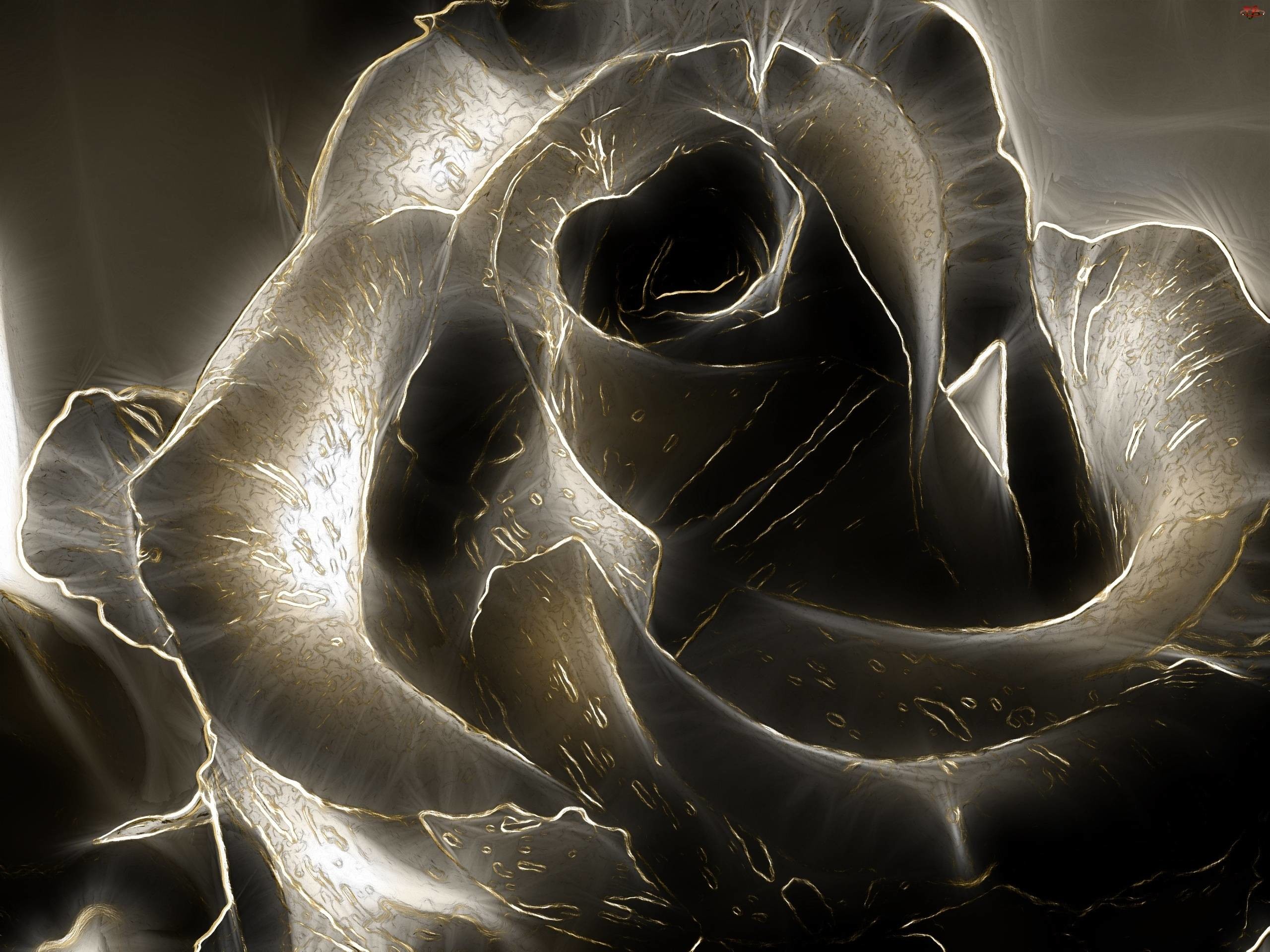 2560x1920 3D Black Rose Image 2206 px - HD Wallpaper