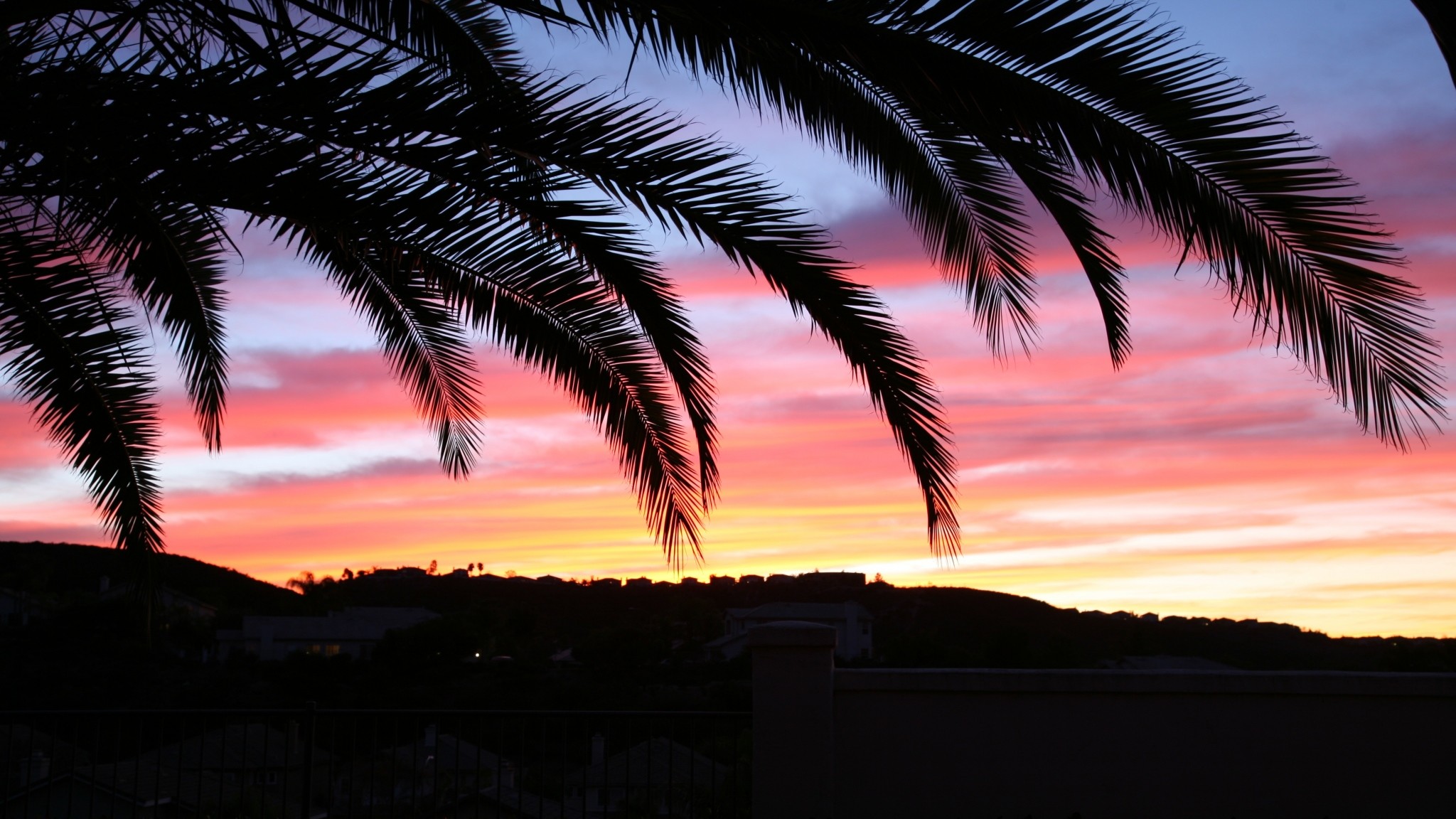 2048x1152  Wallpaper palm tree, sky, sunset