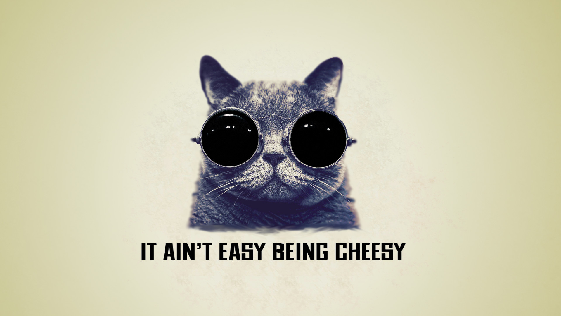 1920x1080 ... It ain't easy being cheesy cool cat wallpaper by saitoukazuma