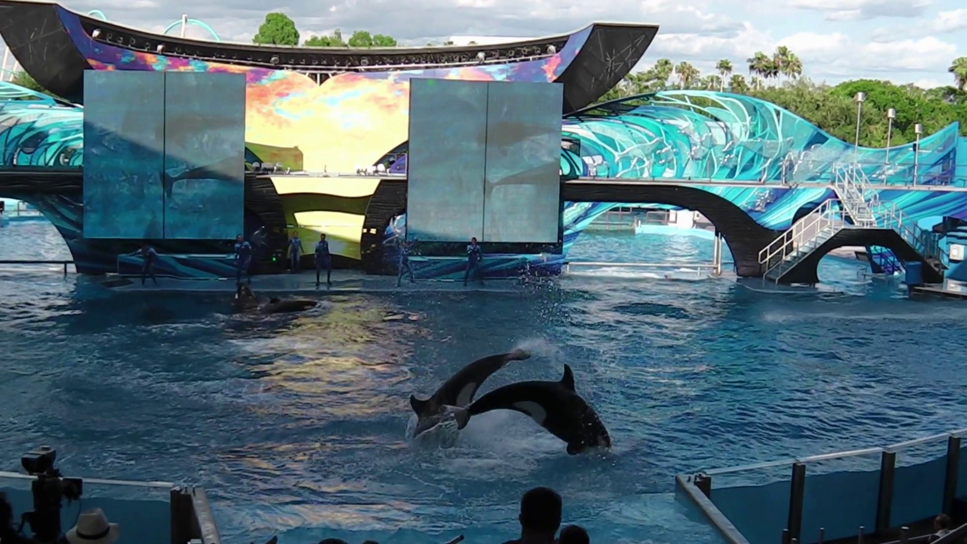 1920x1080 Orlando, Florida, United States - April 22, 2012: Tilikum, the killer  whale, jumping in the shamu show at Seaworld. Tilikum is the largest and  most famous ...