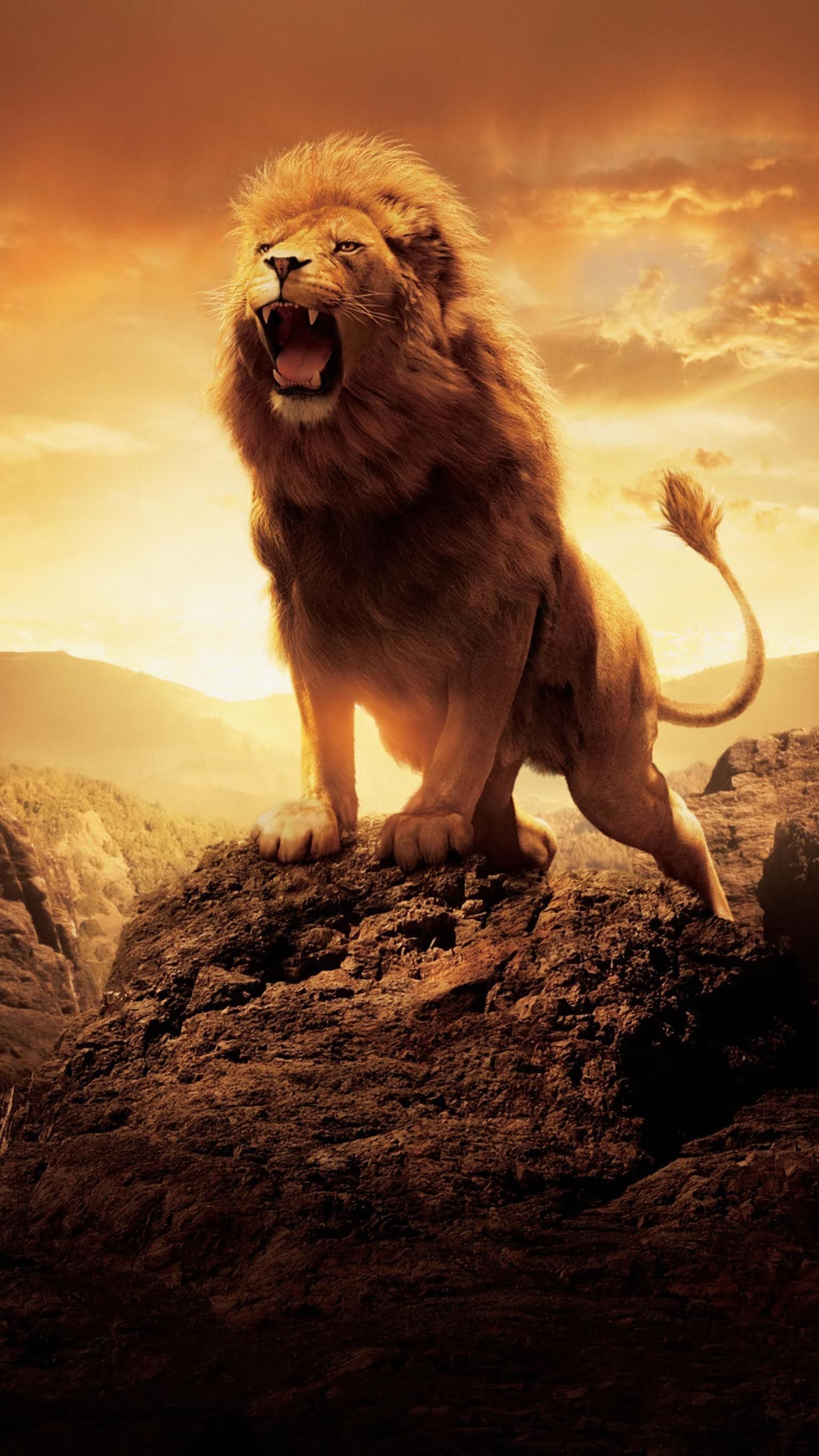 1536x2732 The Chronicles of Narnia: The Lion, the Witch and the Wardrobe (2005) Phone  Wallpaper | Moviemania