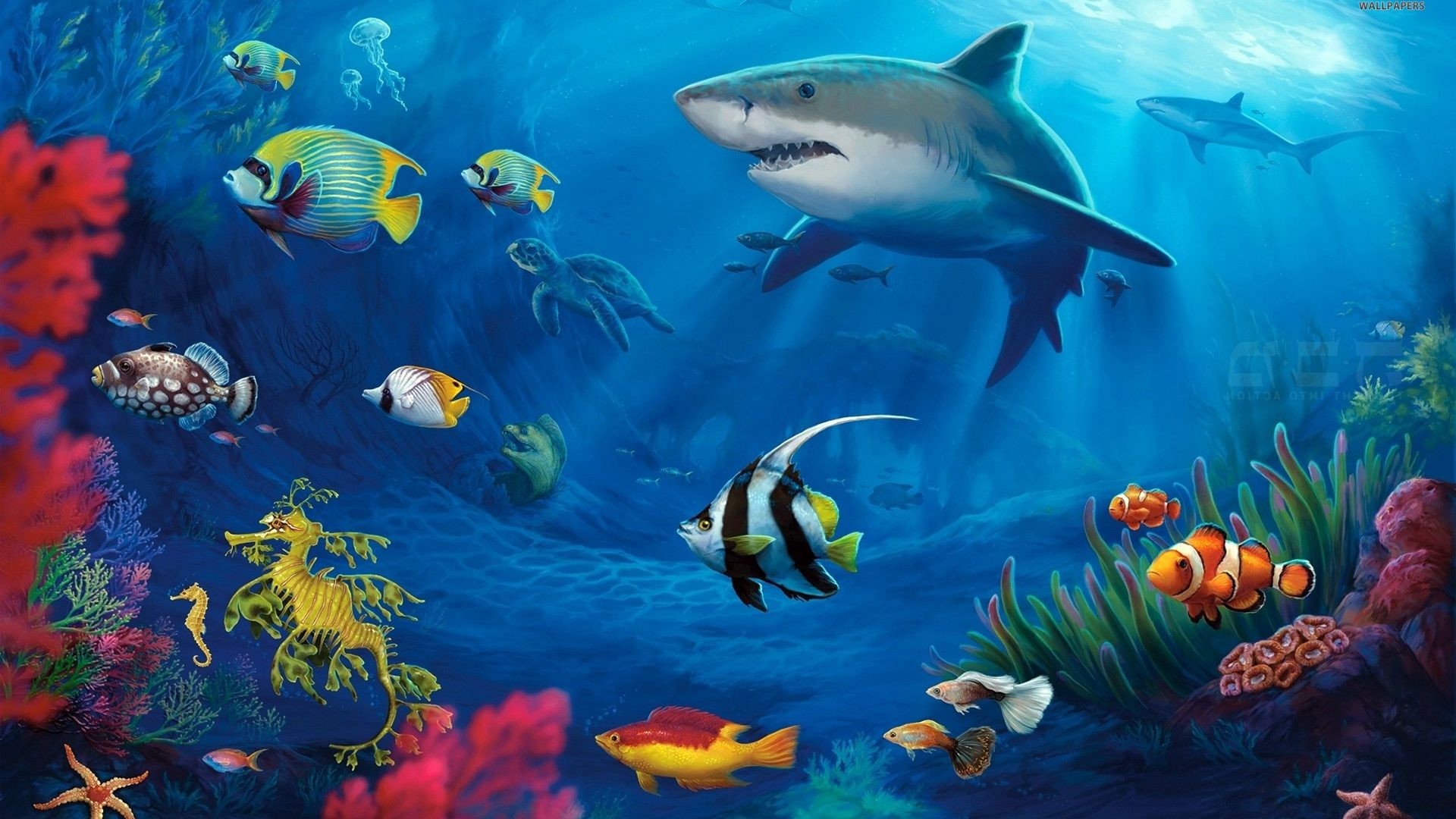 1920x1080 saltwater fish paintings - Google Search | Paint and wine class .