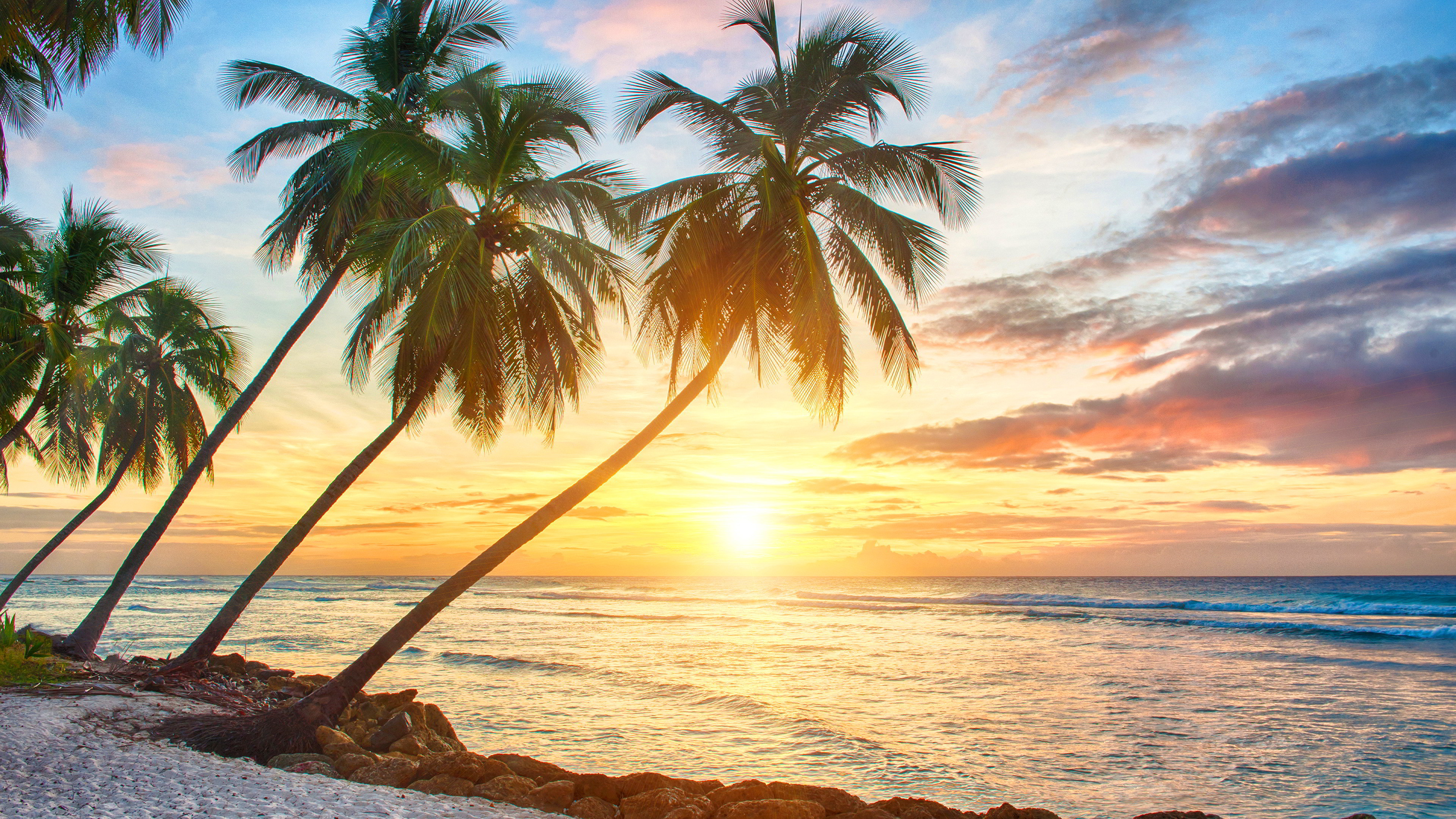3840x2160 HD Tropical Wallpapers Tropical Best Pictures Collection | HD .
