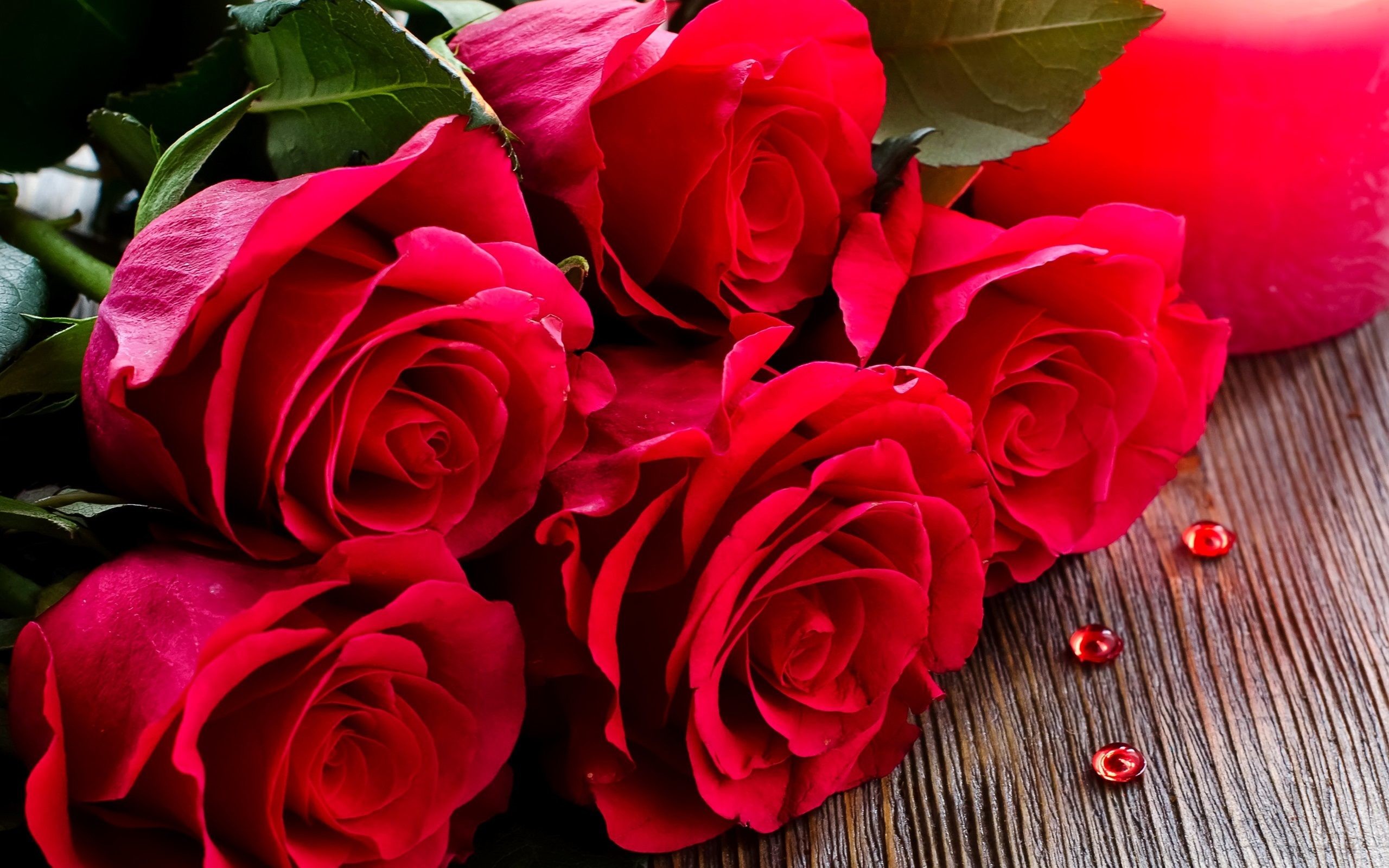 2560x1600 Roses flower Roses photos roses wallpaper for your desktop Red