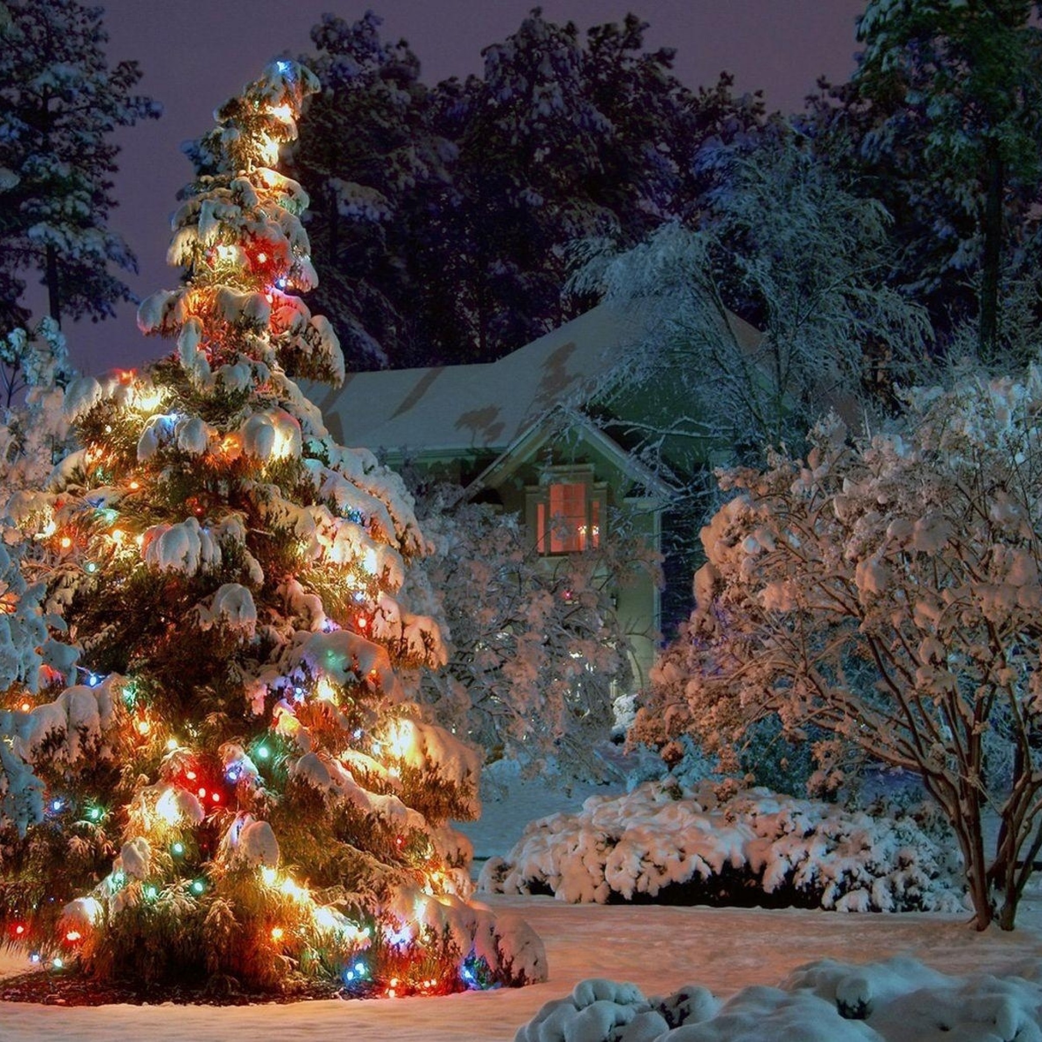 Lista 97+ Foto Navidad Navidad En La Nieve Y La Arena El último