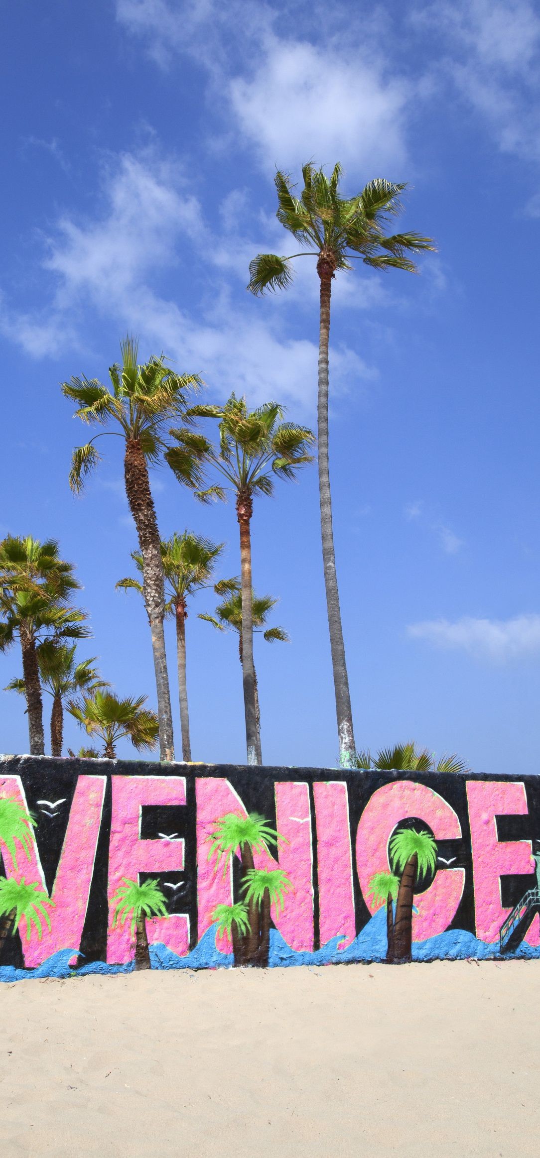 1084x2326 Venice Beach, California, USA