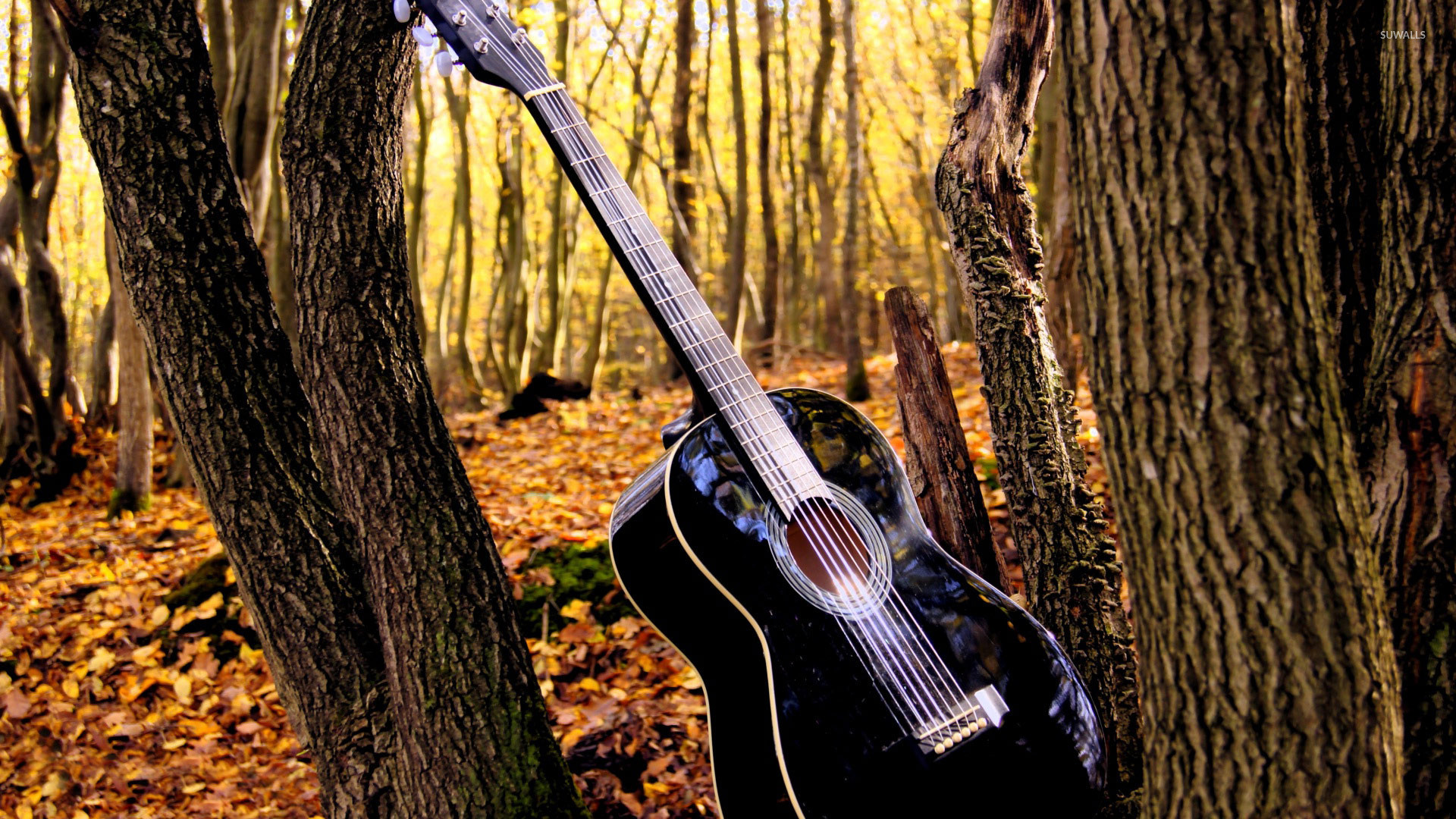 1920x1080 Cool Country Guitar Wallpaper In The Forest Pictures