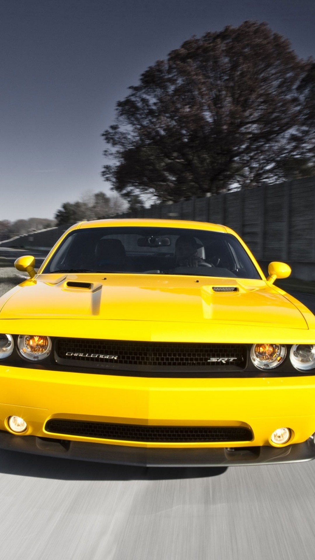 1080x1920  Wallpaper dodge challenger, srt8 392, cars, style, yellow, speed