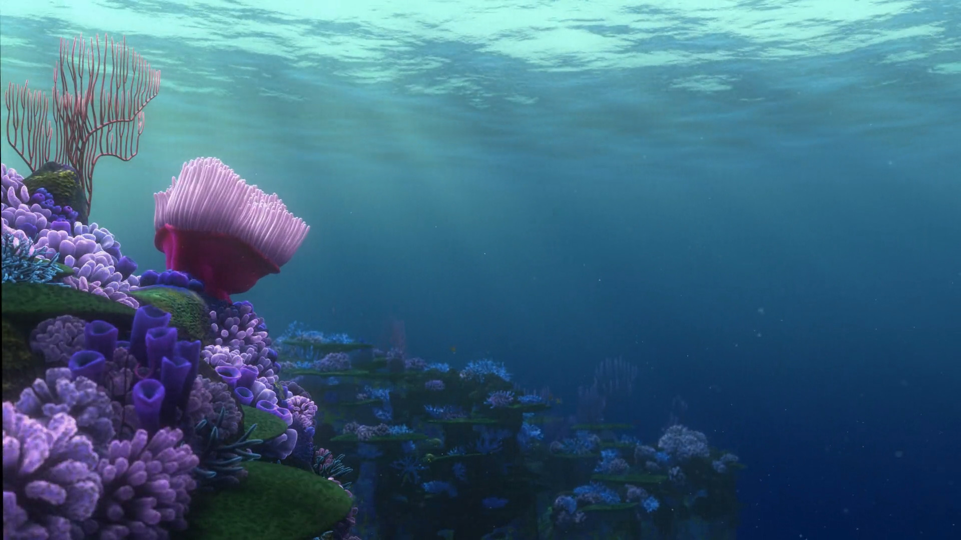 1920x1080 Wallpapers made from the end credits of Finding Nemo.