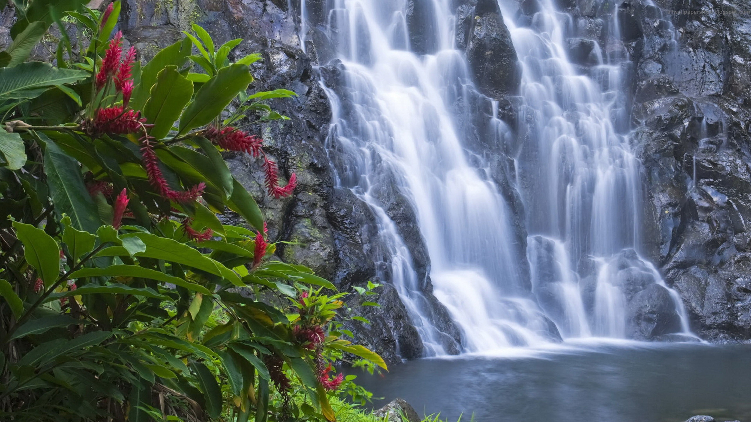 2560x1440 Images of Waterfalls Flowers - Yahoo Image Search Results