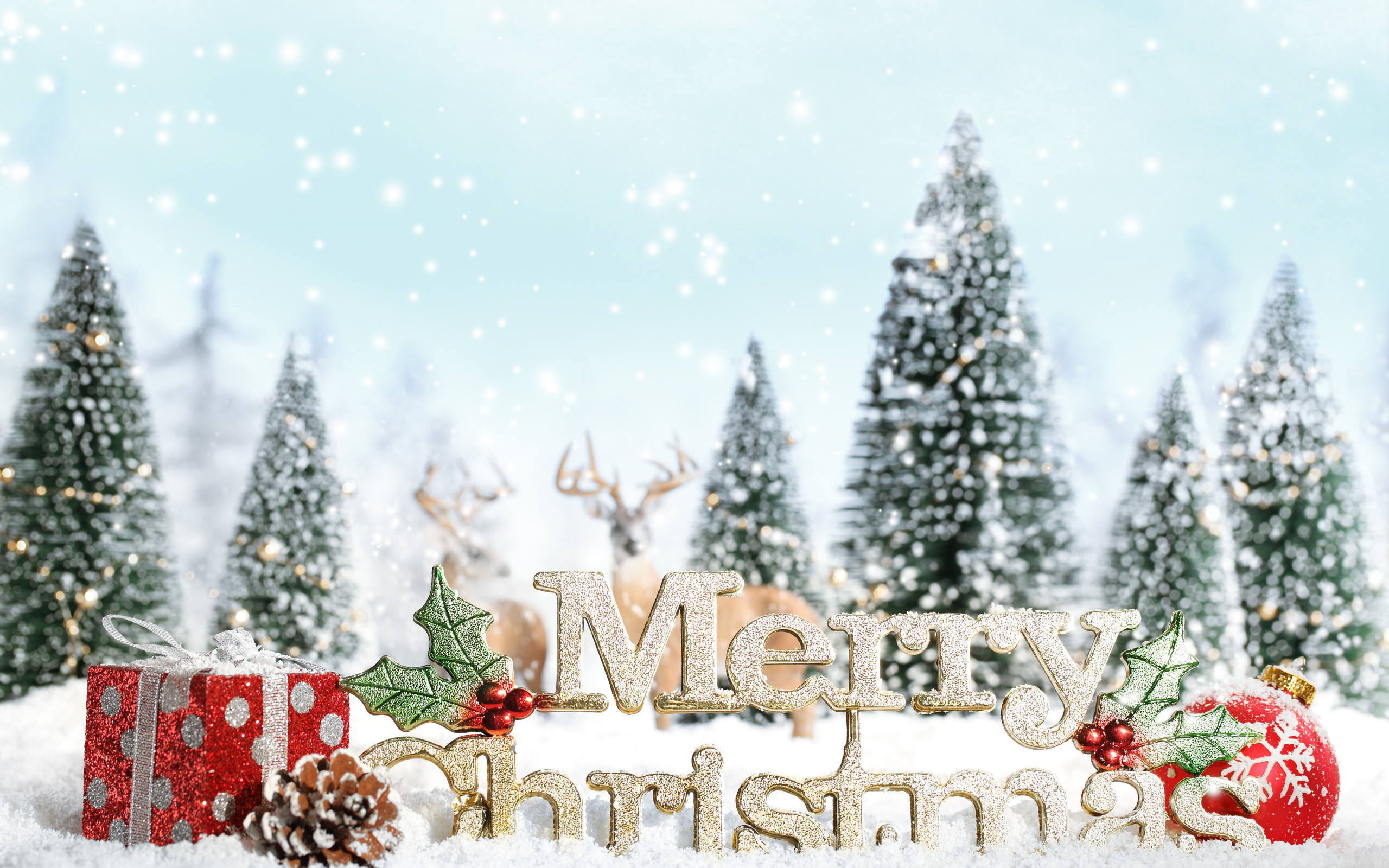 2560x1600 Merry Christmas Tree Wallpaper (13)