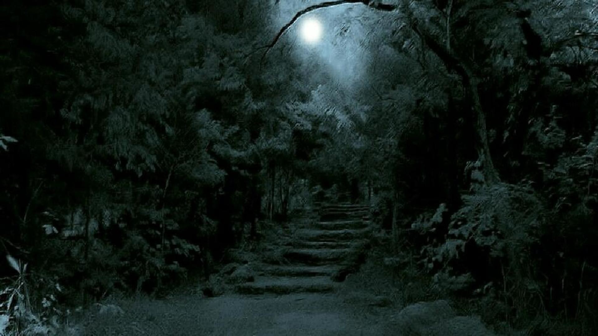 1920x1080 Dark Forest Moon