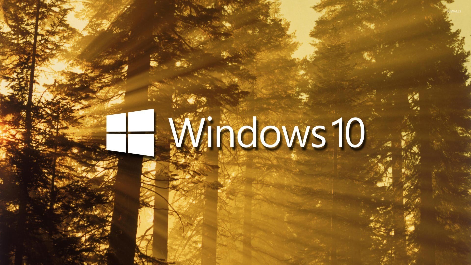 1920x1080 Windows 10 on sun rays in the forest text logo wallpaper  jpg