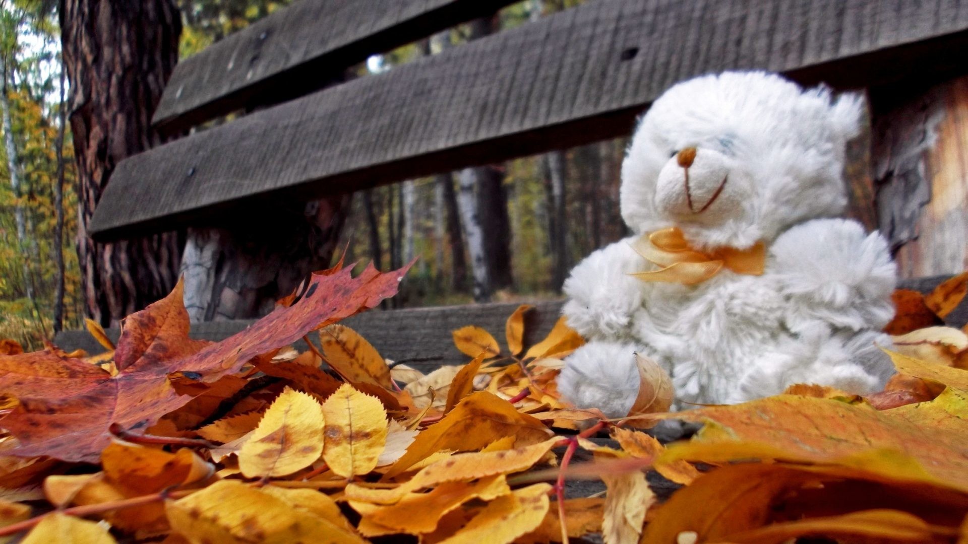 1920x1080 Loneliness Tag - Bench Bears Loneliness Leaves Trees Autumn Teddy Photos  Desktop Nature for HD 16