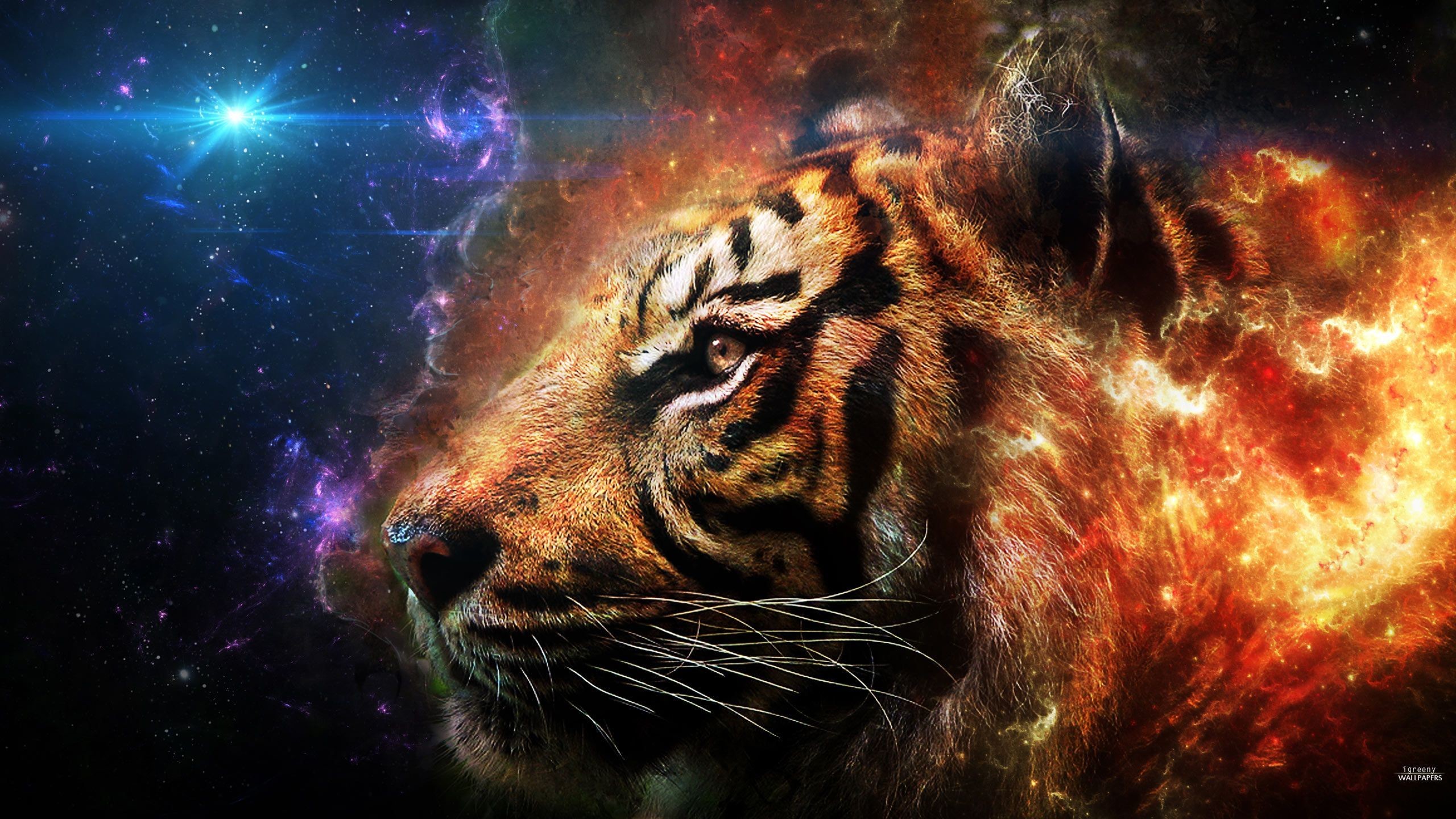 2560x1440 Fantastic Tiger Wallpapers
