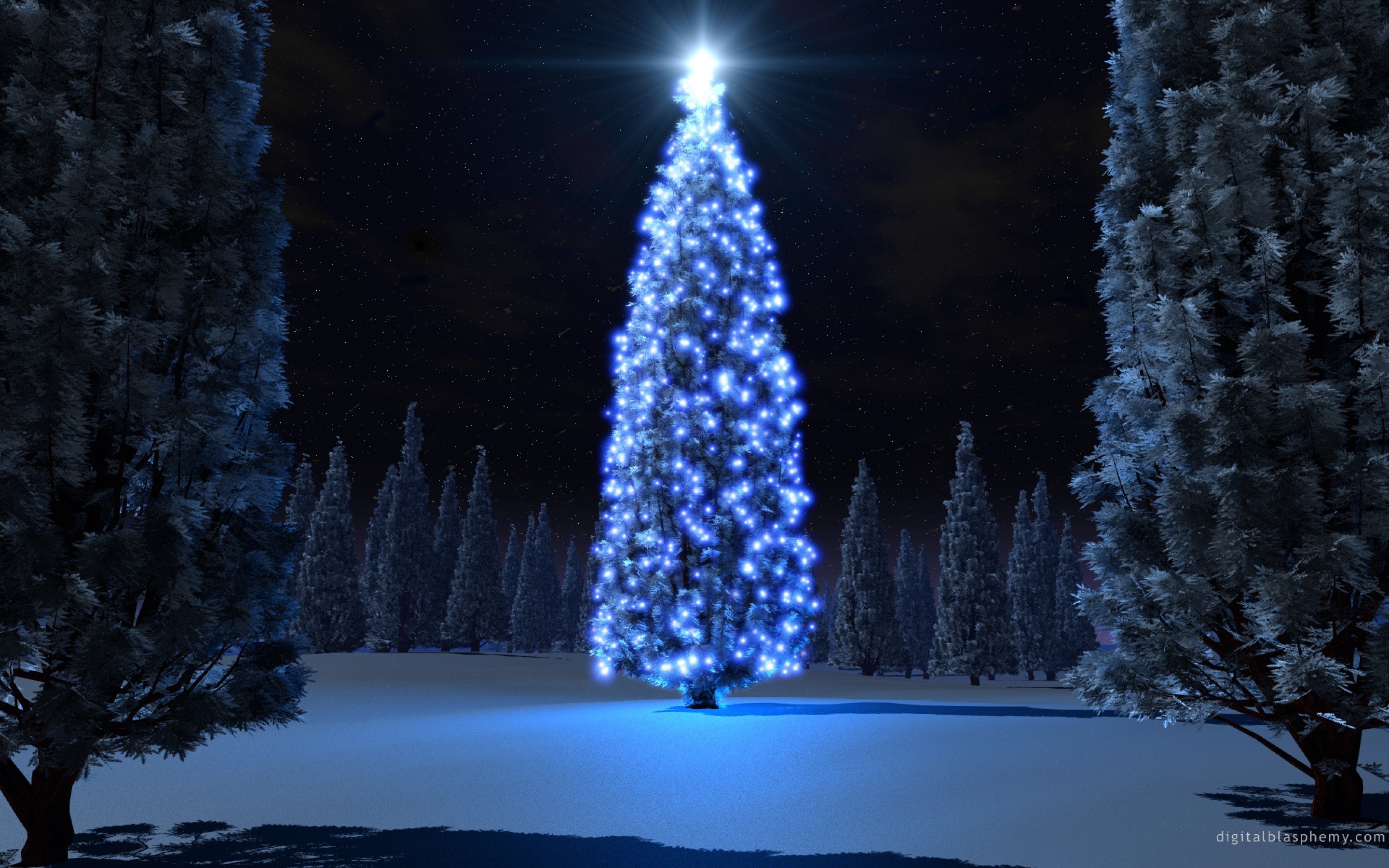 2880x1800 Beautiful Christmas Trees and Starlight Photo Gallery HD Wallpaper  Widescreen