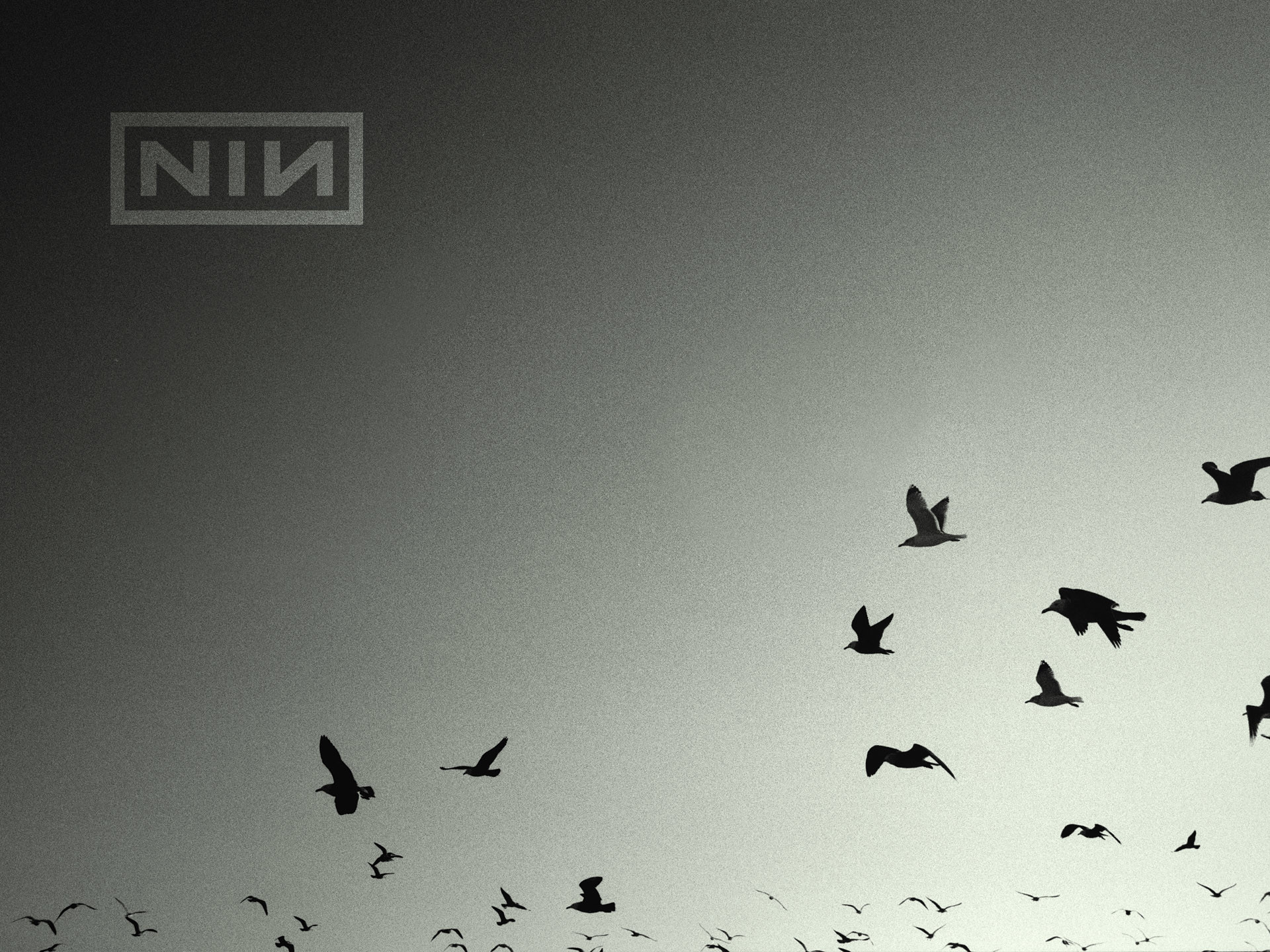 1920x1440 Music - Nine Inch Nails Wallpaper