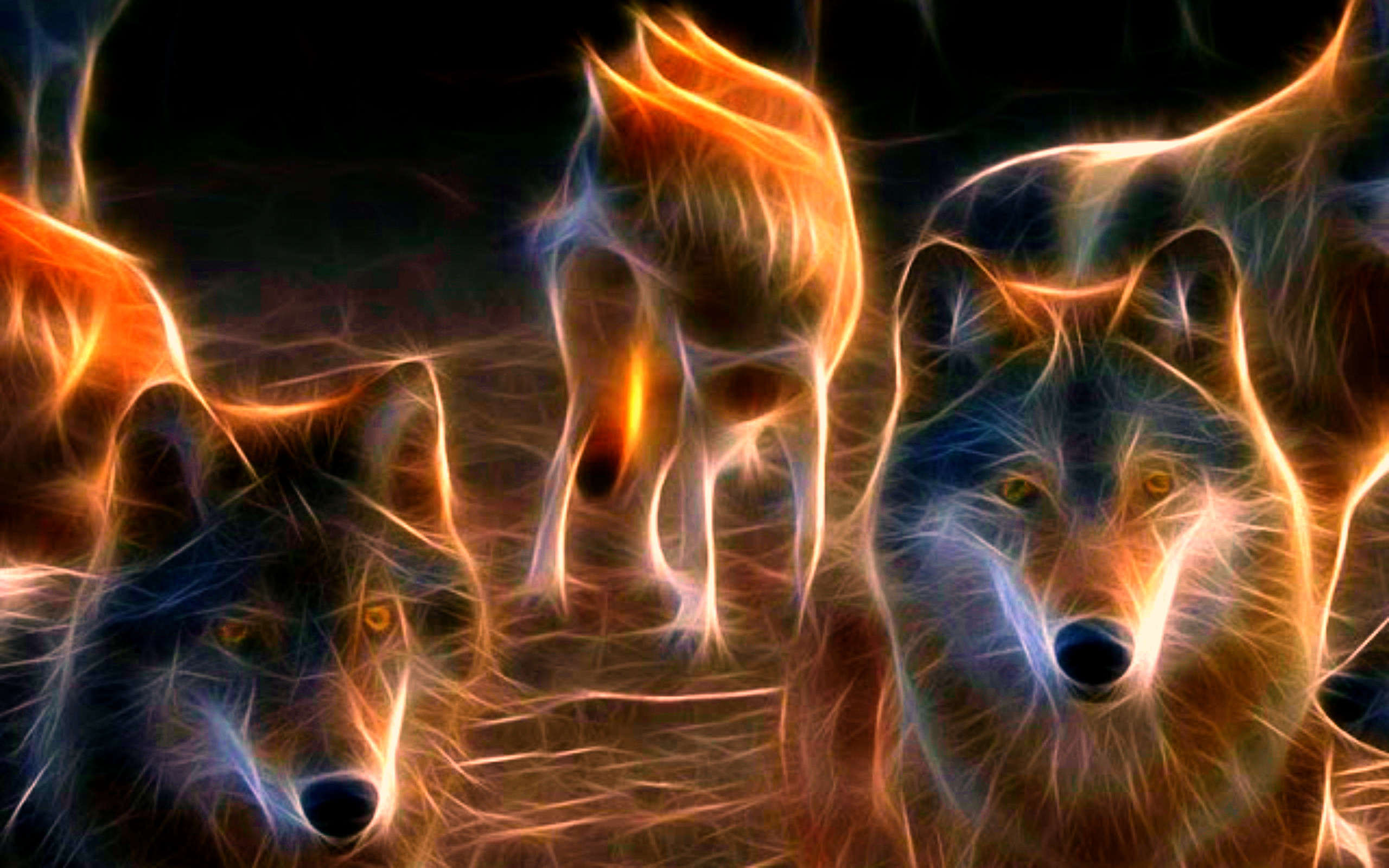2560x1600 WOLF wolves predator fractal g wallpaper |  | 195230 .