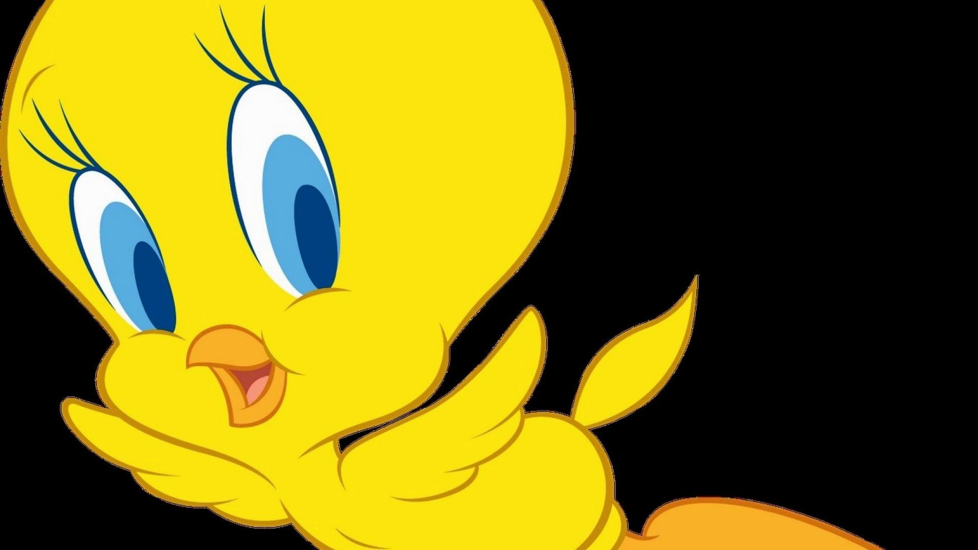1920x1080 Tweety HD Images : Get Free top quality Tweety HD Images for your desktop  PC background