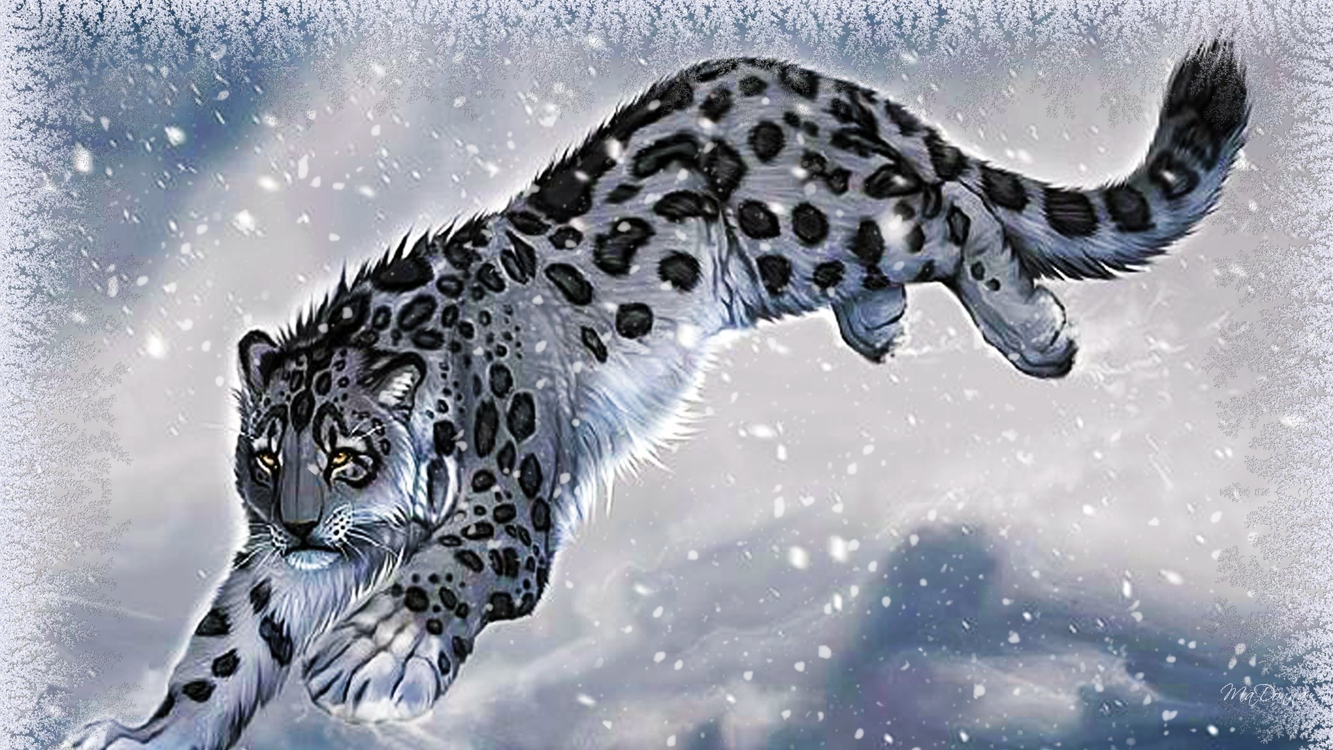 1920x1080 Image - Amazing-animal-snow-leopard-high-resolution-wallpaper-for-desktop- background-download-snow-leopard-images-free.jpg | Animal Jam Clans Wiki |  FANDOM ...