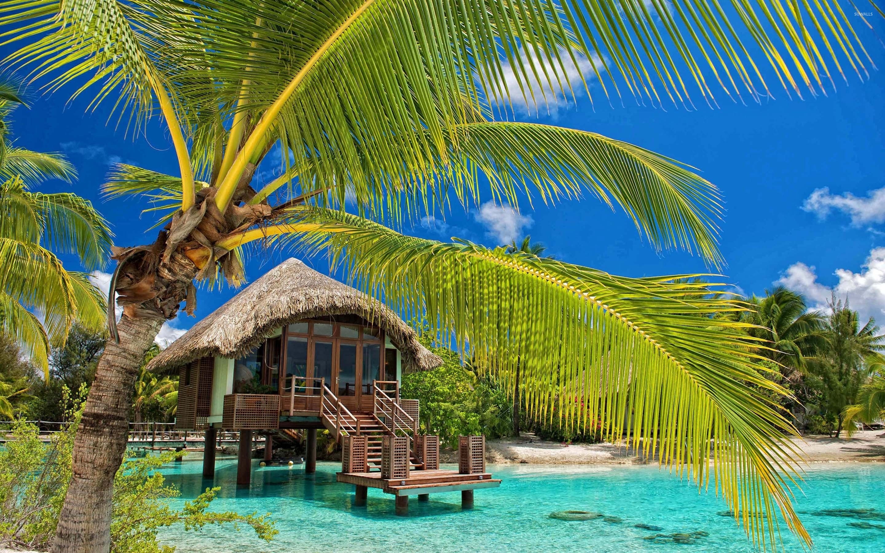 2880x1800 Hut in the water by the palm trees wallpaper