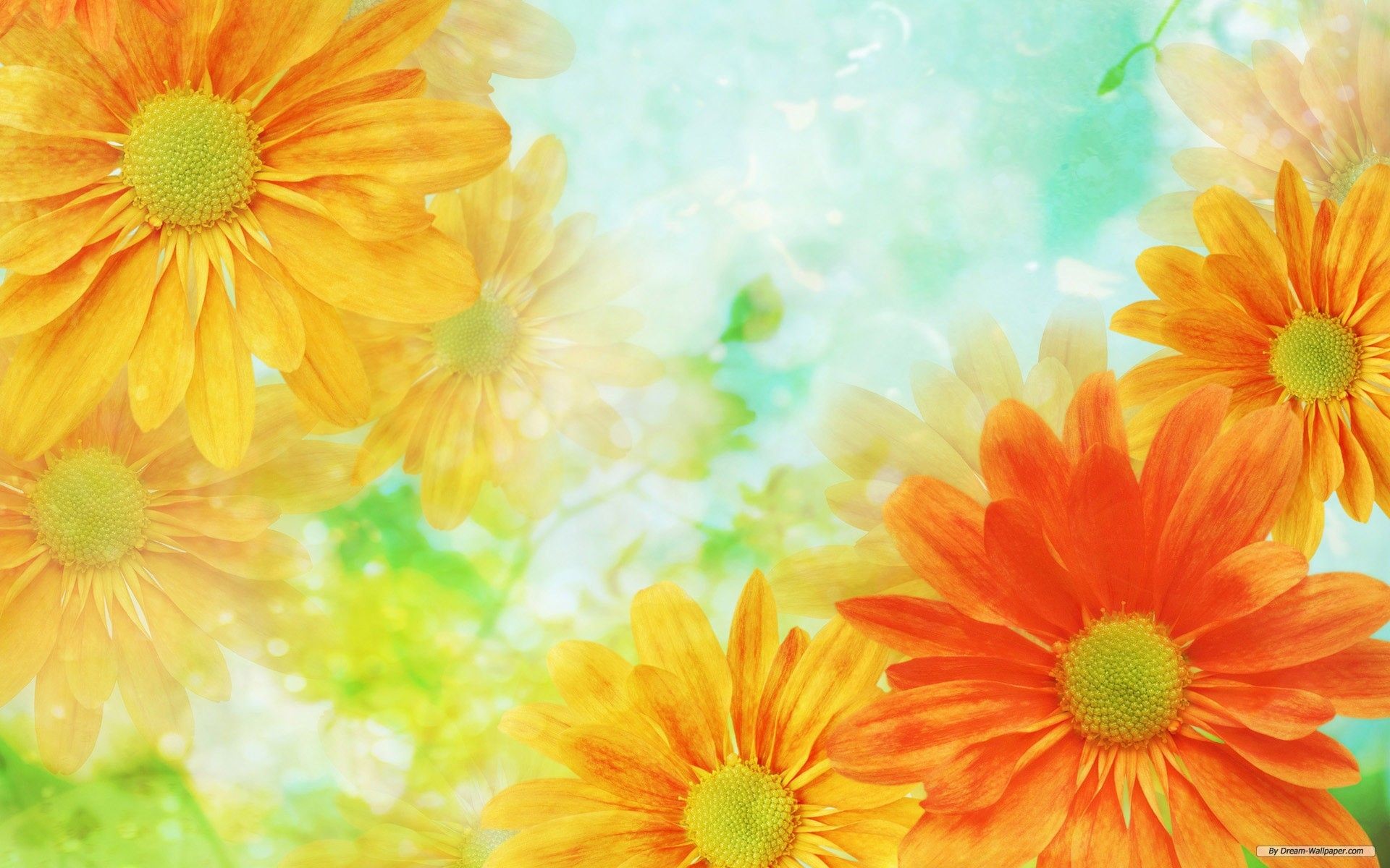 1920x1200 Wallpapers Flower Backgrounds - Wallpaper Cave