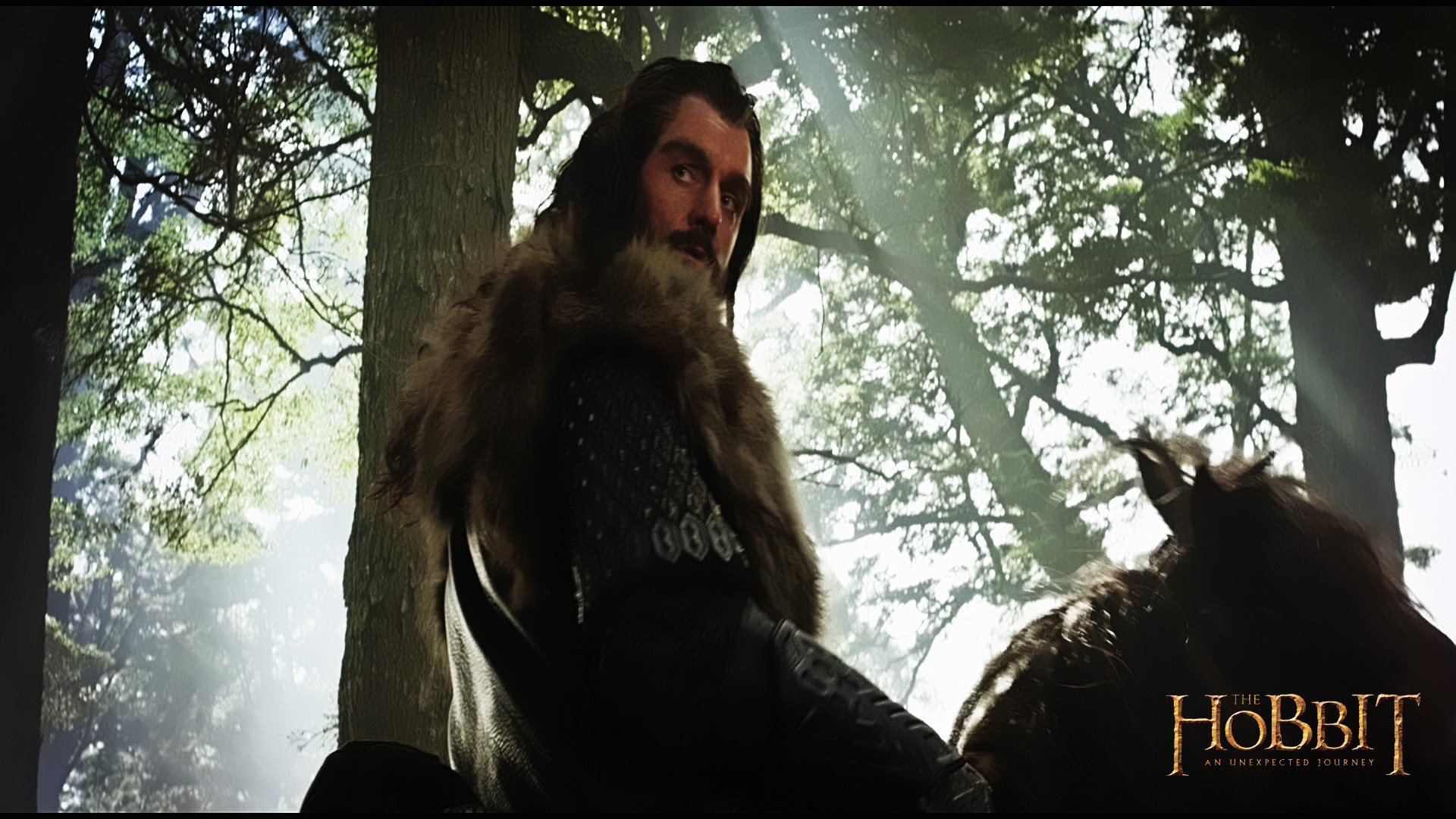 1920x1080 Richard Armitage as Thorin Oakenshield