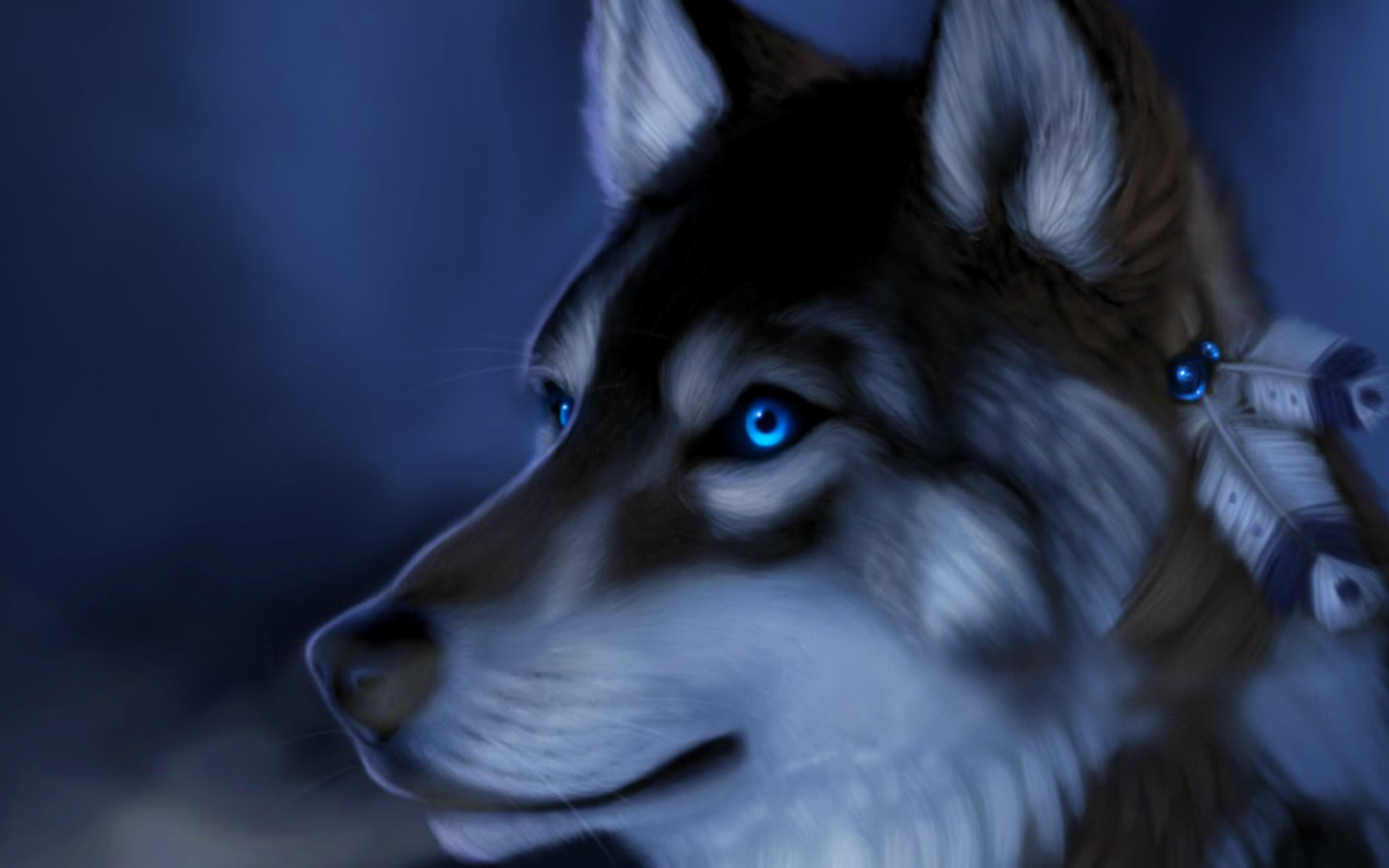 2560x1600 Wolf Blue Eyes Desktop Background. Download  ...