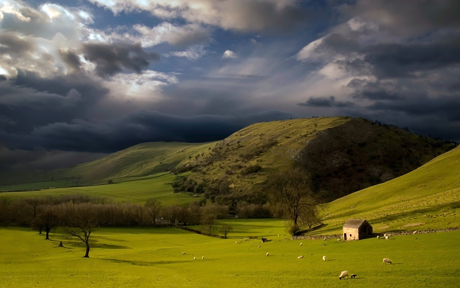 1920x1200 Wallpaper Height, Mountains, Slopes, Pasture, Cloudy, Sky, Storm, Clouds,  Sheep, Bad weather, Green