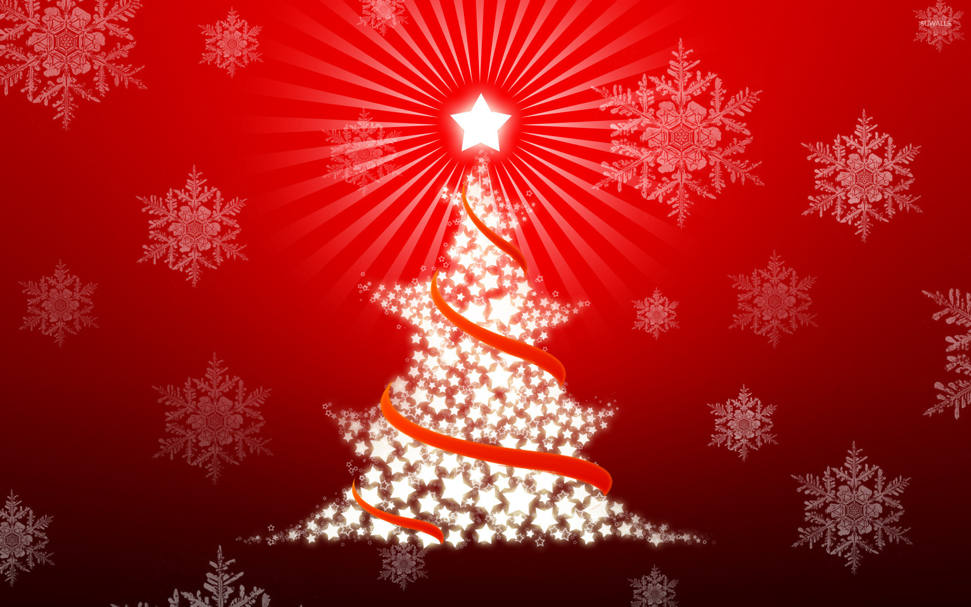 1920x1200 Christmas tree wallpaper  jpg