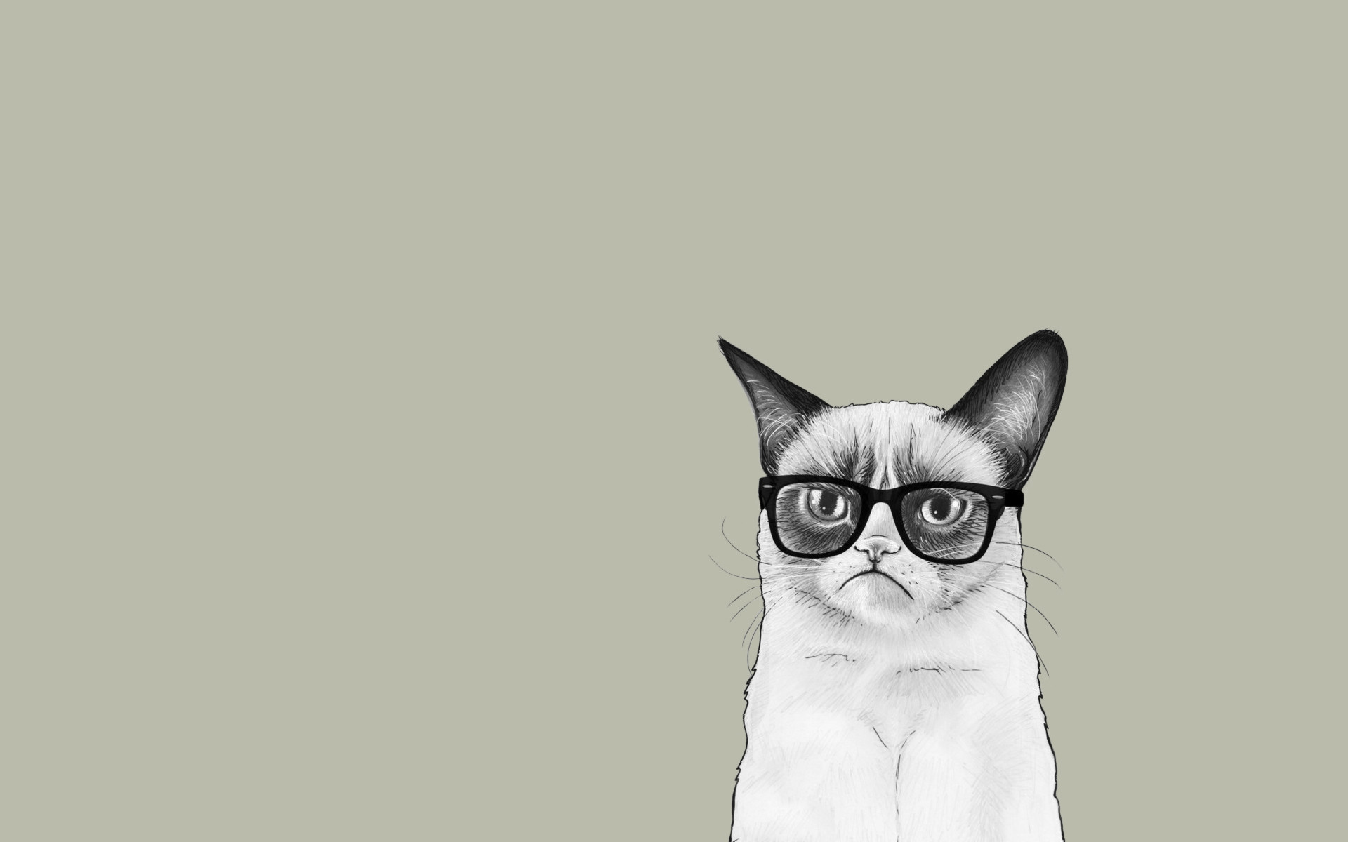 1920x1200 Grumpy Cat With Sunglass Wallpaper