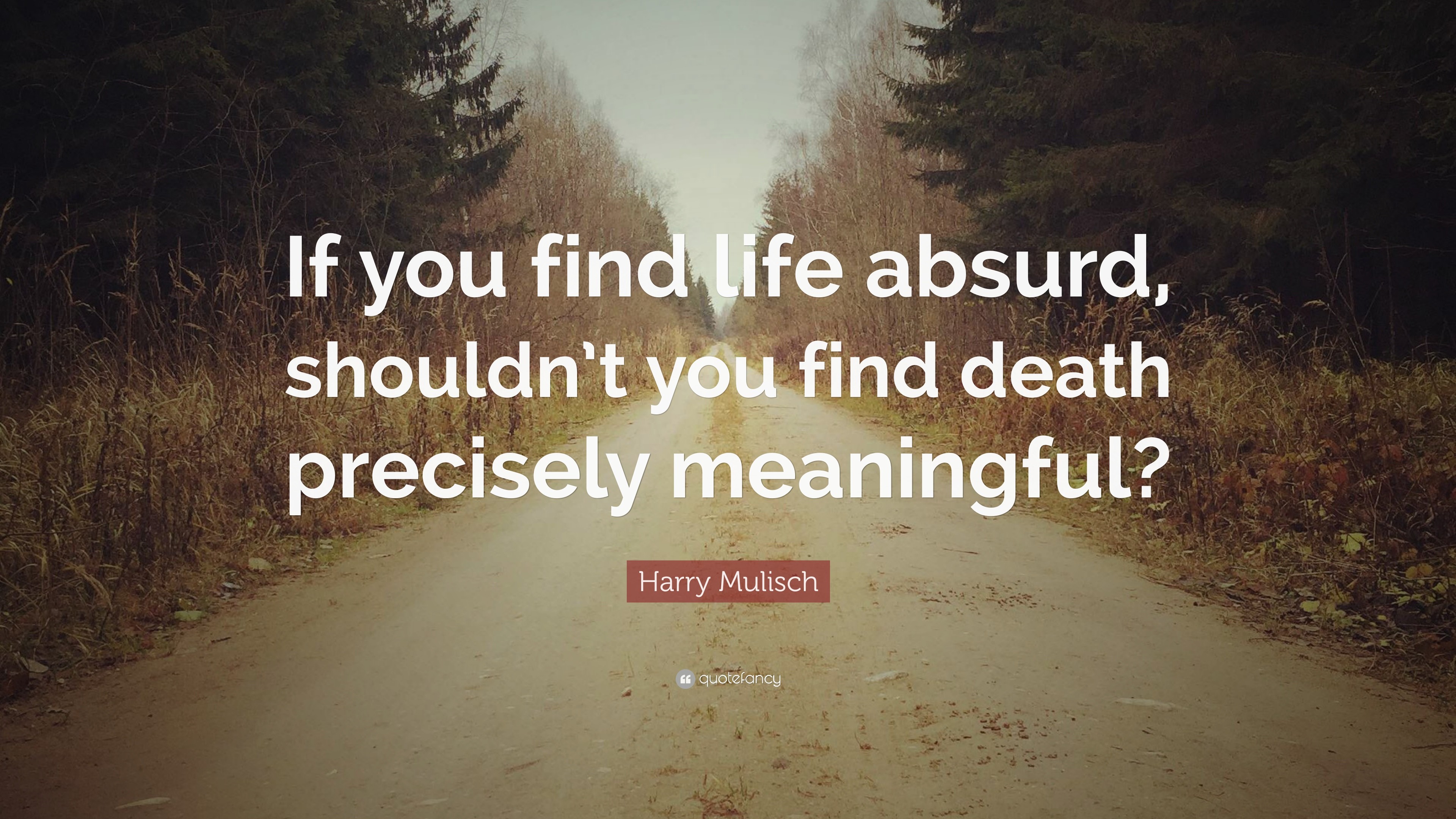 3840x2160 Harry Mulisch Quote: “If you find life absurd, shouldn't you find