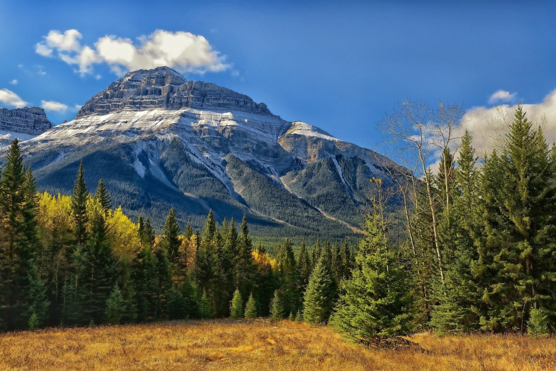 1920x1280 alberta banff national park mountain canada rocky mountains banff bow  valley canada forest tree albert canadian