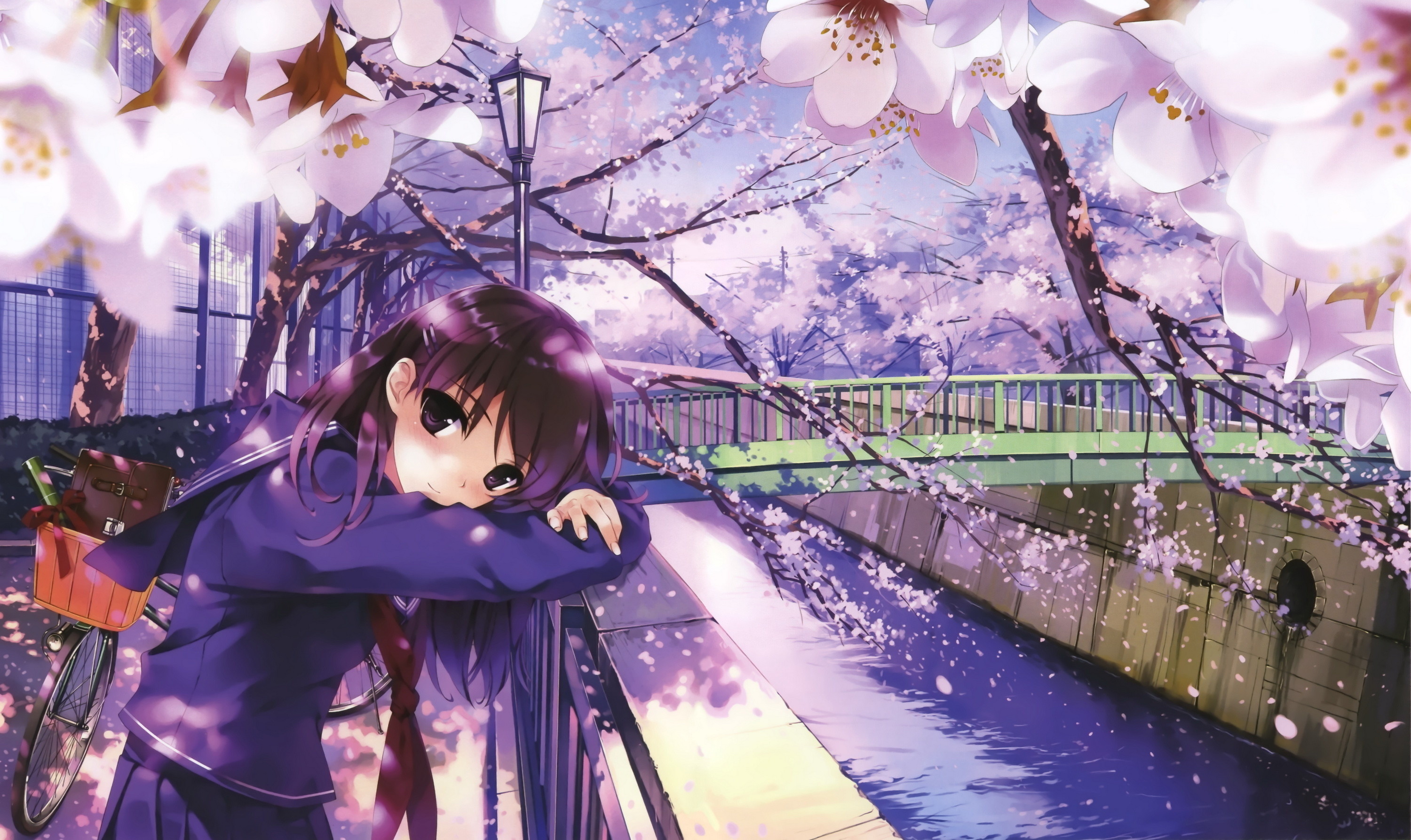 3000x1787 Scrapped Princess, anime, sakura, schoolgirl, spring, river, bridge