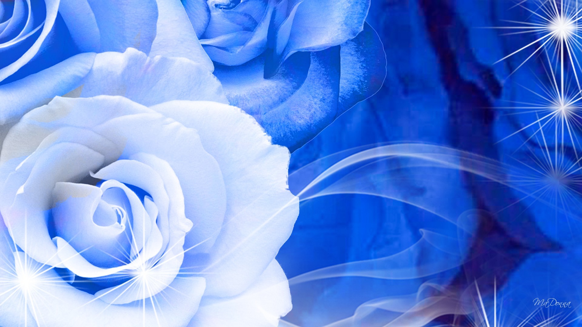 1920x1080 blue-and-white-rose-wallpaper-6-hd-wallpaper.jpg (1920Ã1080) | Flowers |  Pinterest | Blue wallpapers, Wallpaper and Flower wallpaper