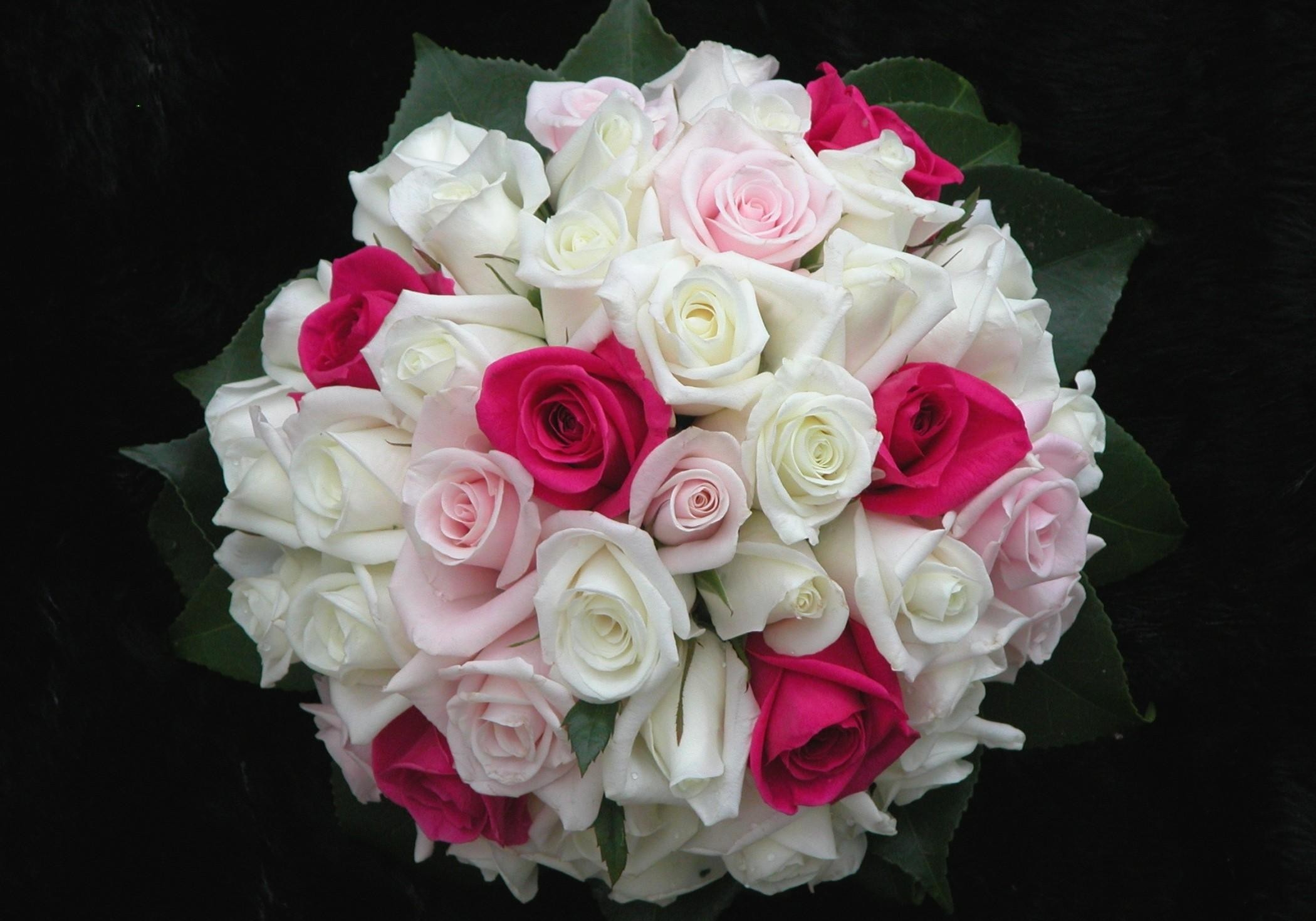 2100x1470  Wallpaper roses, flowers, white, pink, flower, leaf, design,
