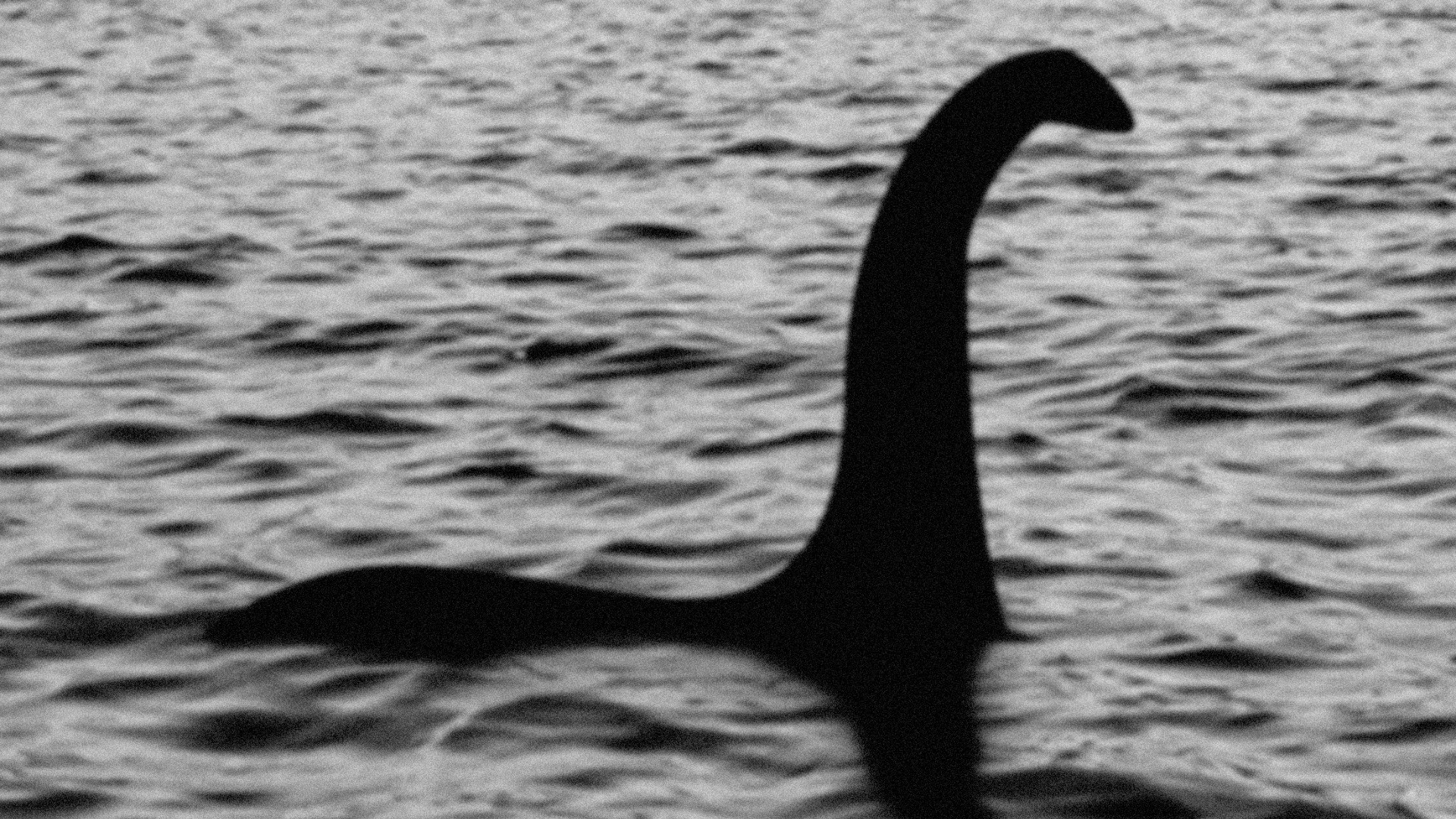 1920x1080 The legend of Nessie lives on 81 years after the famous 'Surgeon's  Photograph' was
