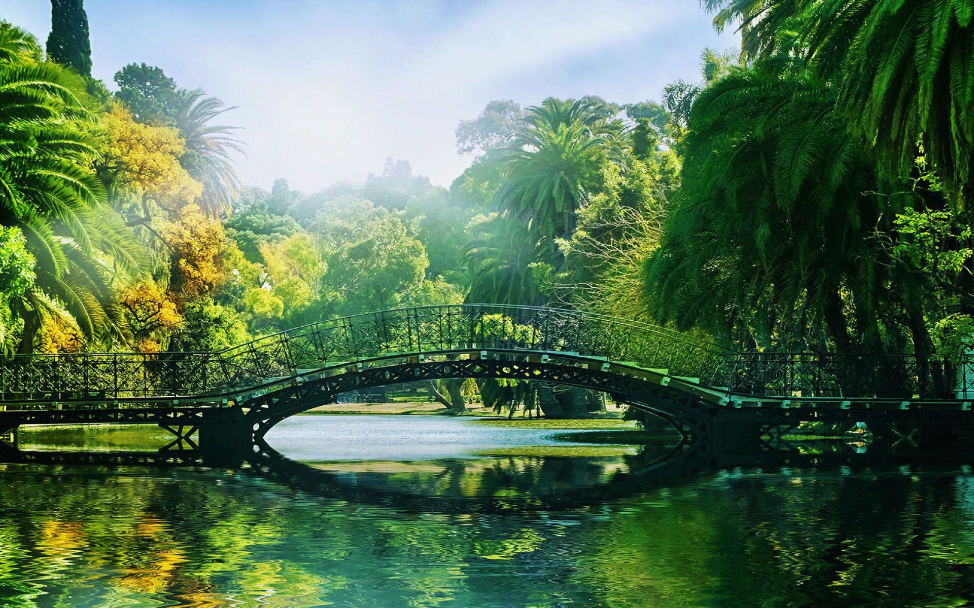 1920x1200 Tropical Park Sunny Day wallpapers and stock photos