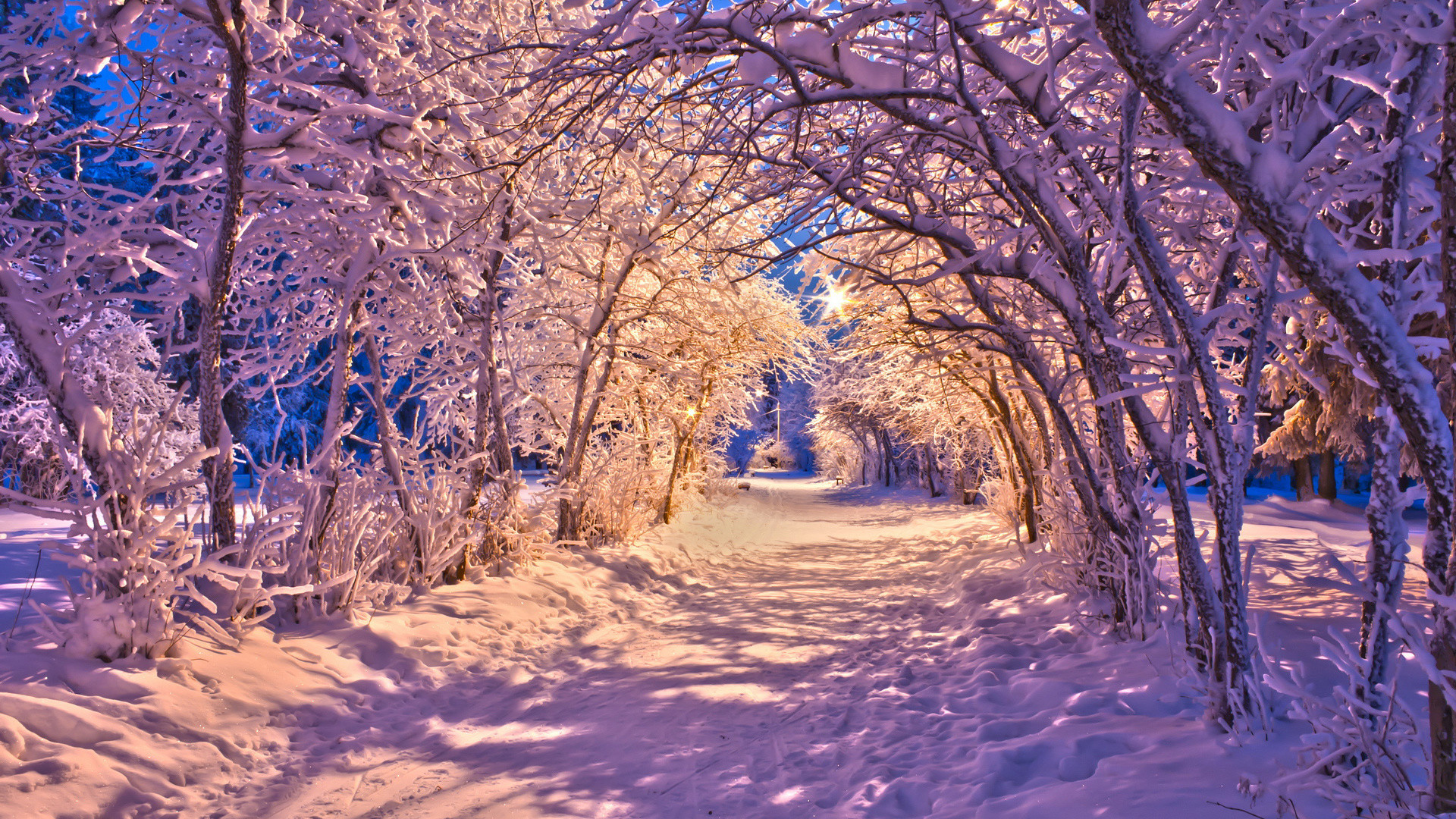 1920x1080 winter snow christmas sidewalk roads lights white trees wallpaper .