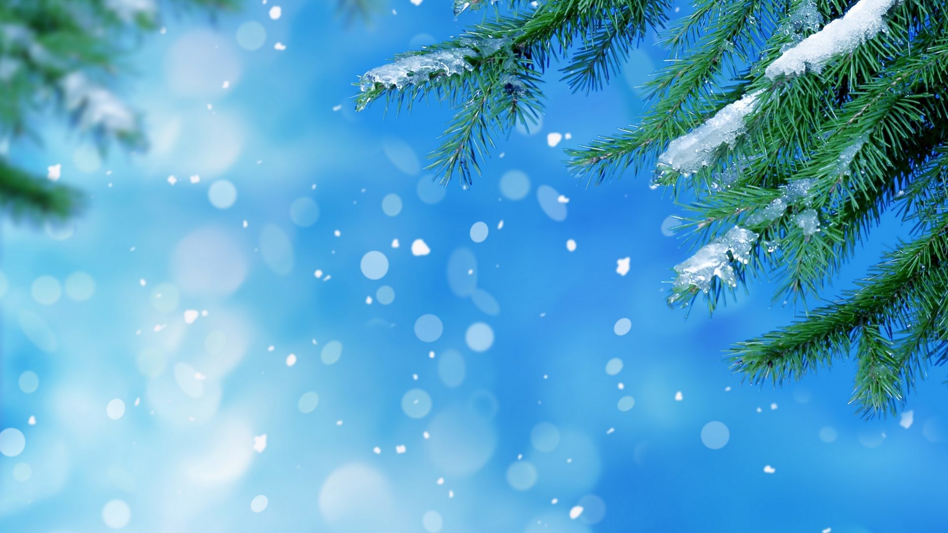 1920x1080 Winter - Magic Merry Snow Winter Snowy Xmas Bokeh Splendor Time Christmas  Landscape Desktop Wallpaper for