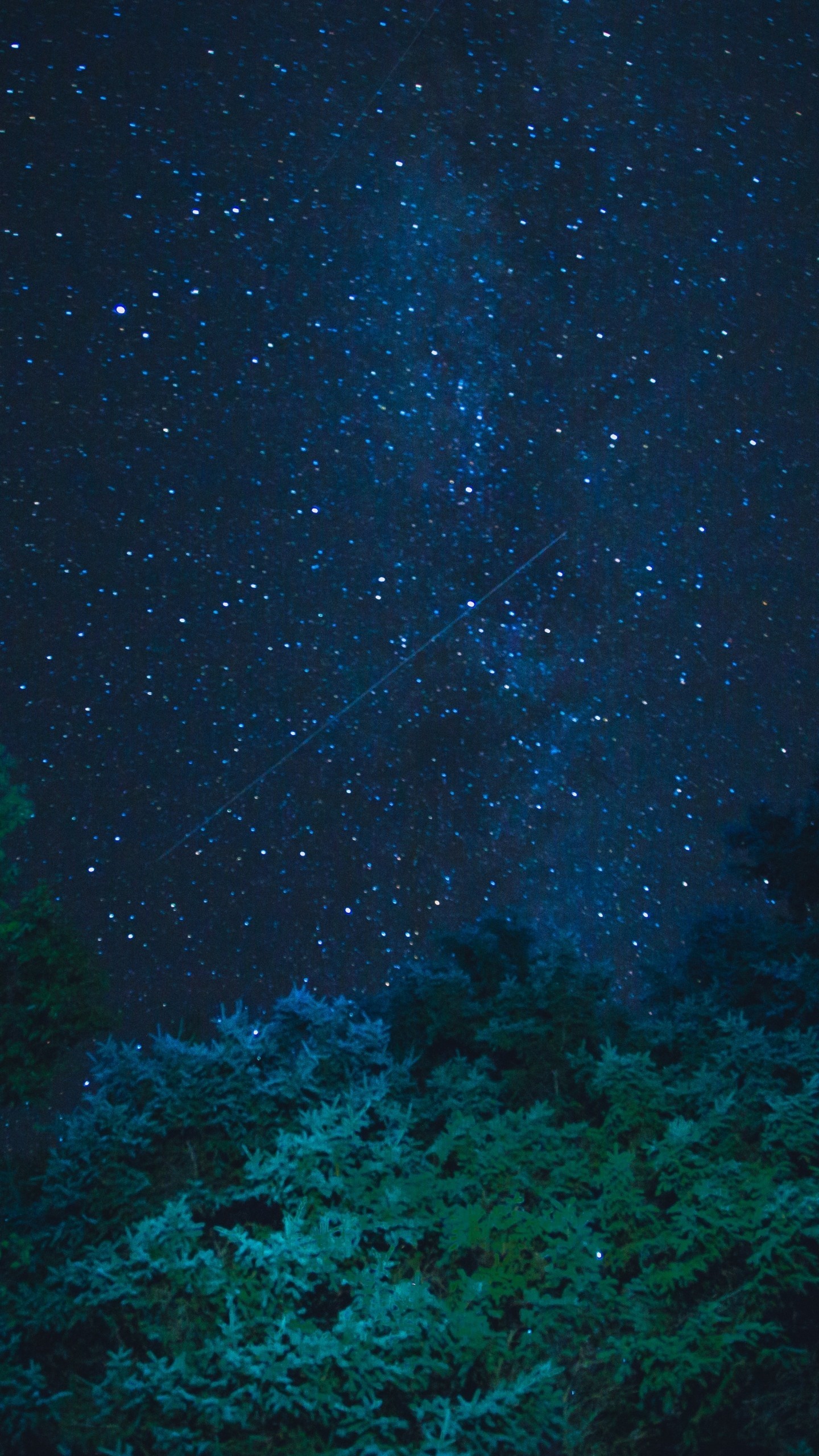 1440x2560 Starry Sky Stars Night Trees Wallpaper  380x676