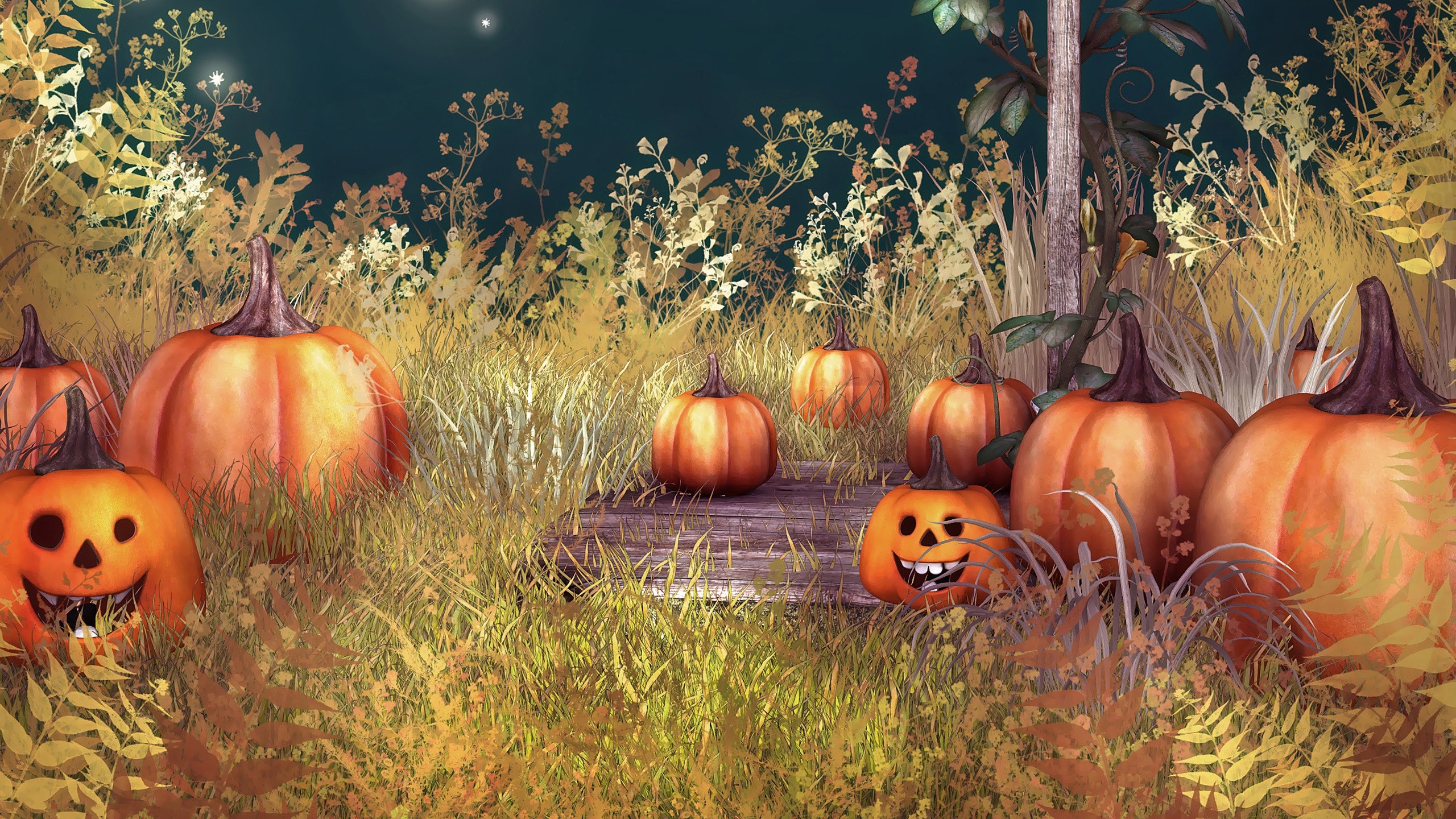 2560x1440 Pumpkin Halloween HD Background